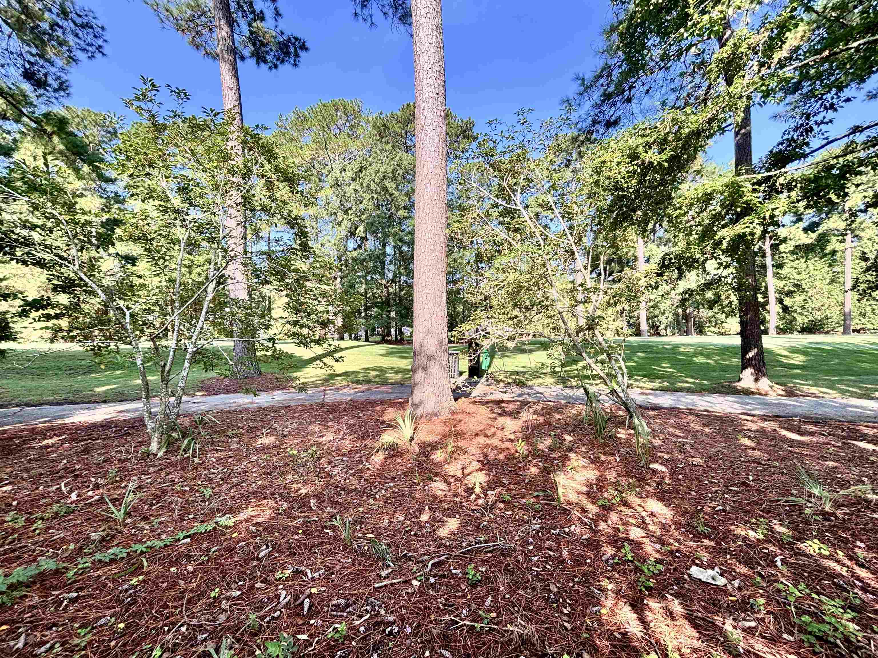 605 Needlerush Ct. Property Photo 66