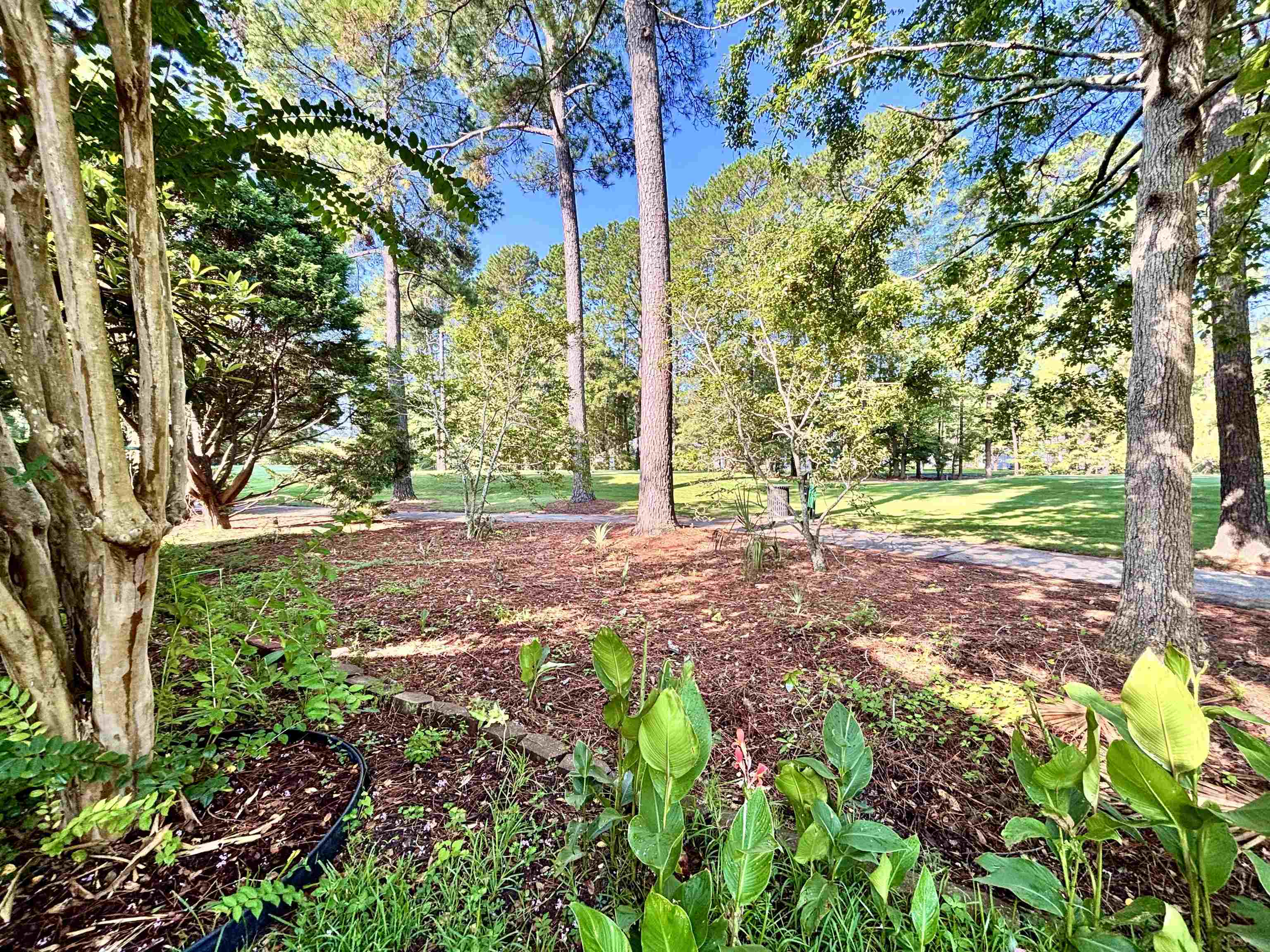 605 Needlerush Ct. Property Photo 67