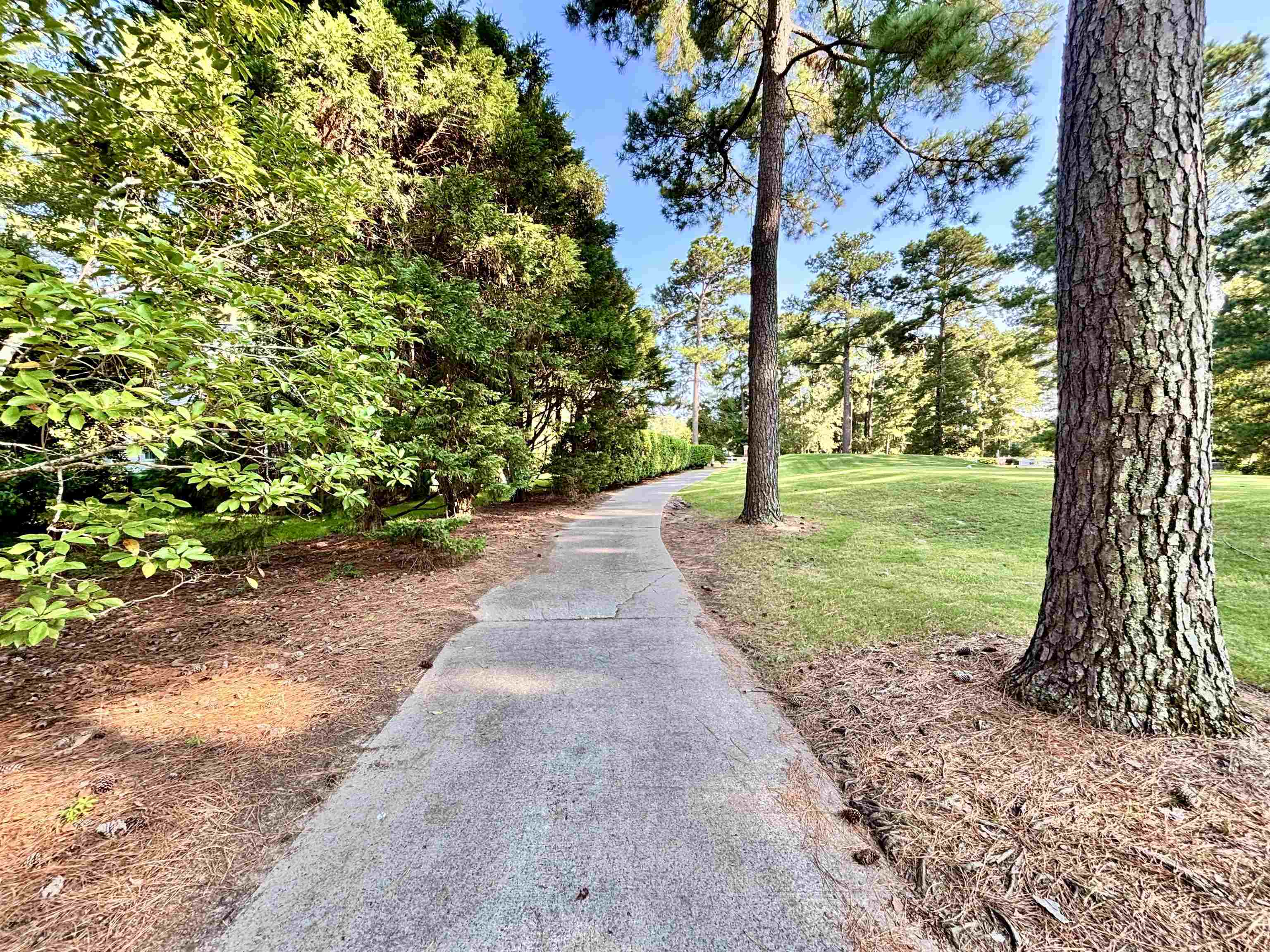 605 Needlerush Ct. Property Photo 74