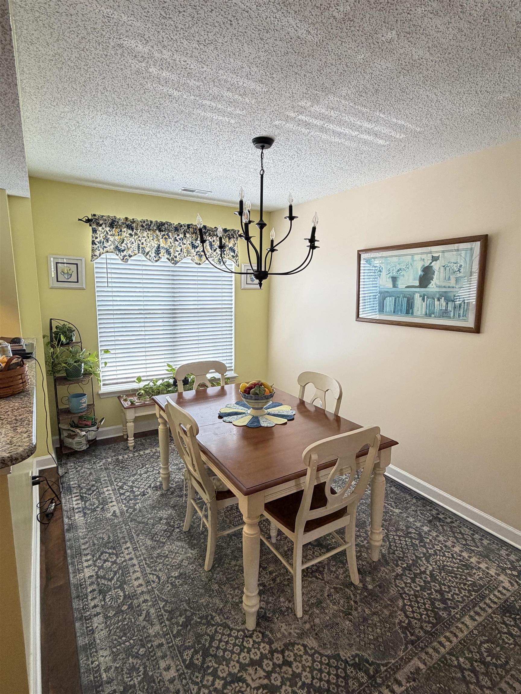 300 Willow Green Dr. Property Photo 13