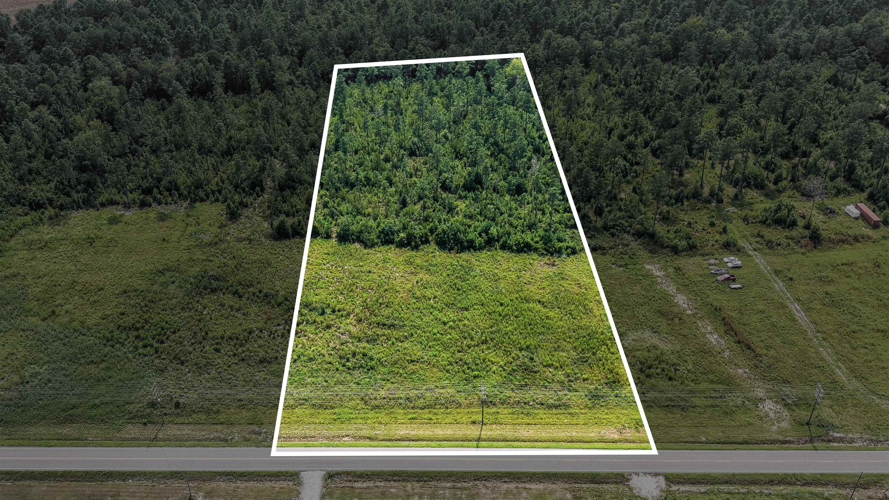 Tbd W Highway 19 Property Photo 1
