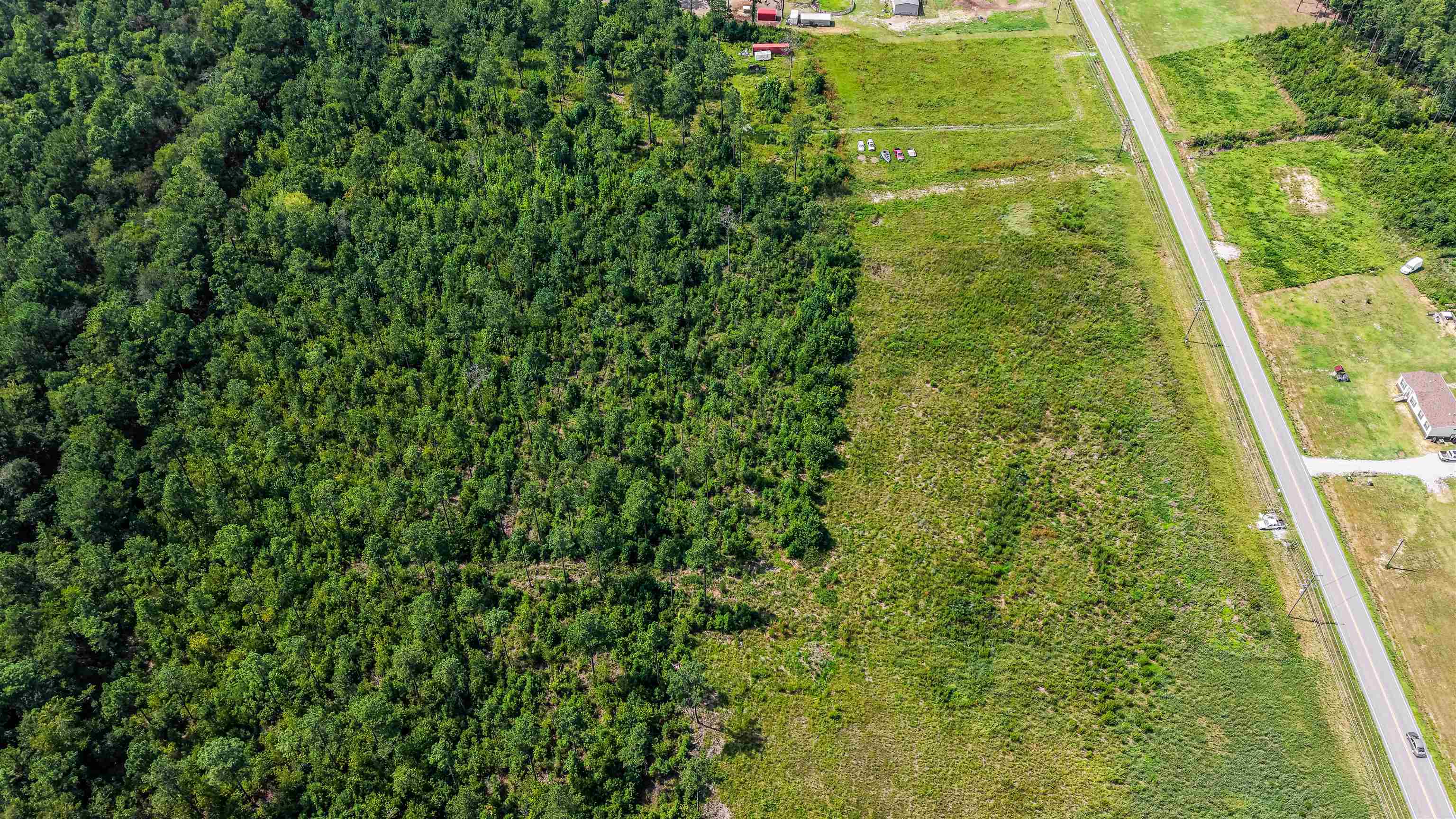 Tbd W Highway 19 Property Photo 3