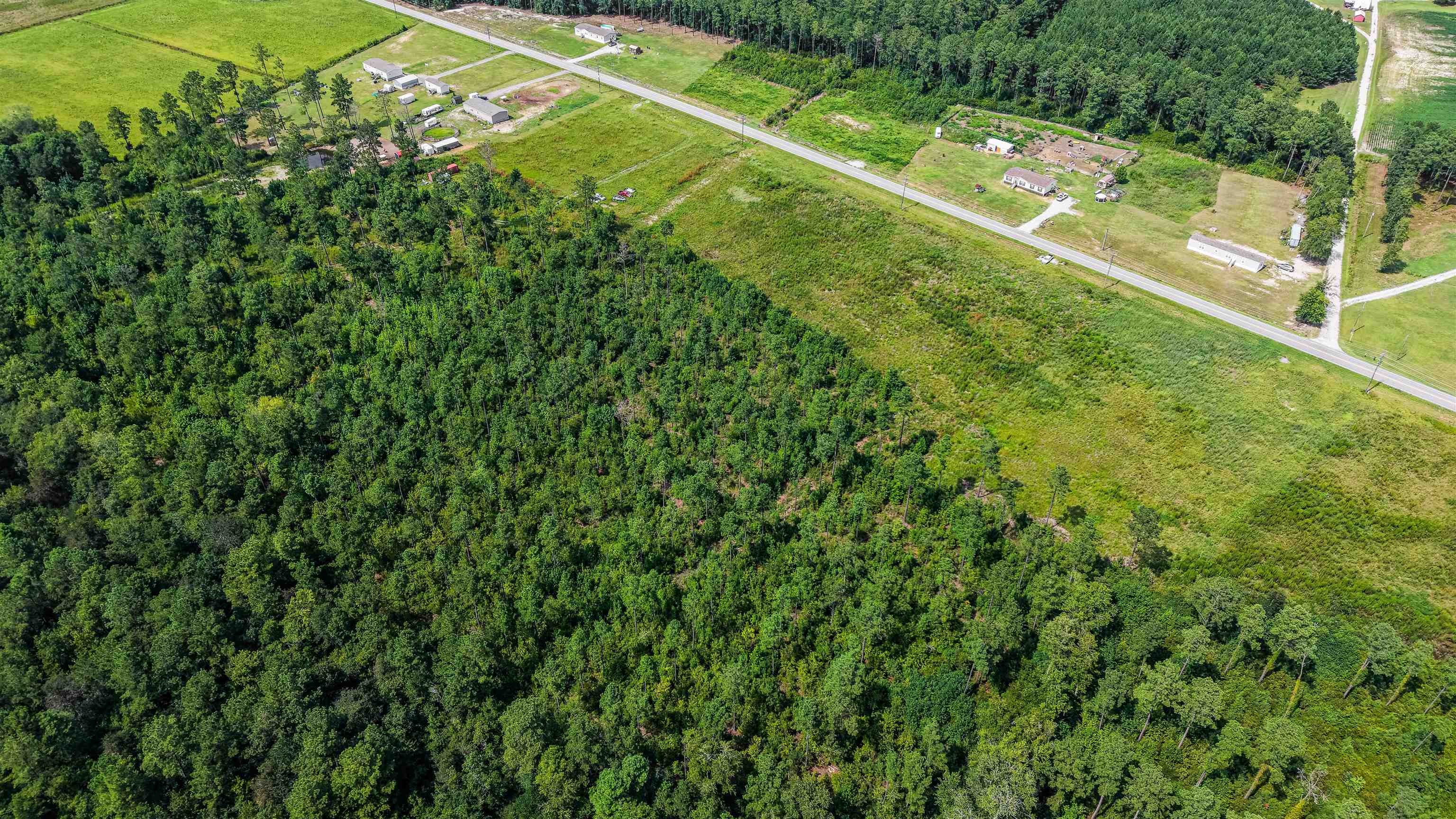 Tbd W Highway 19 Property Photo 4