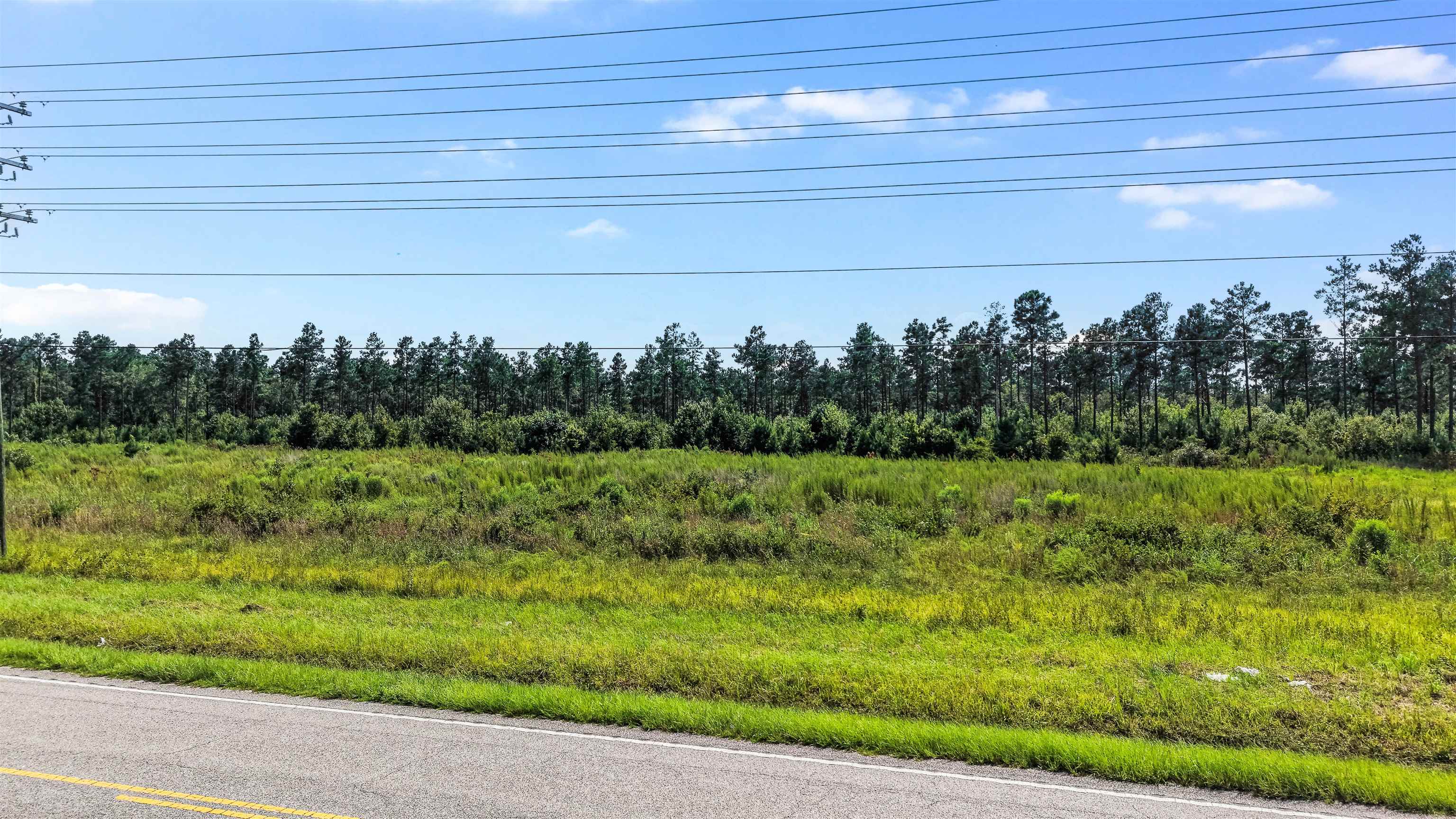Tbd W Highway 19 Property Photo 6