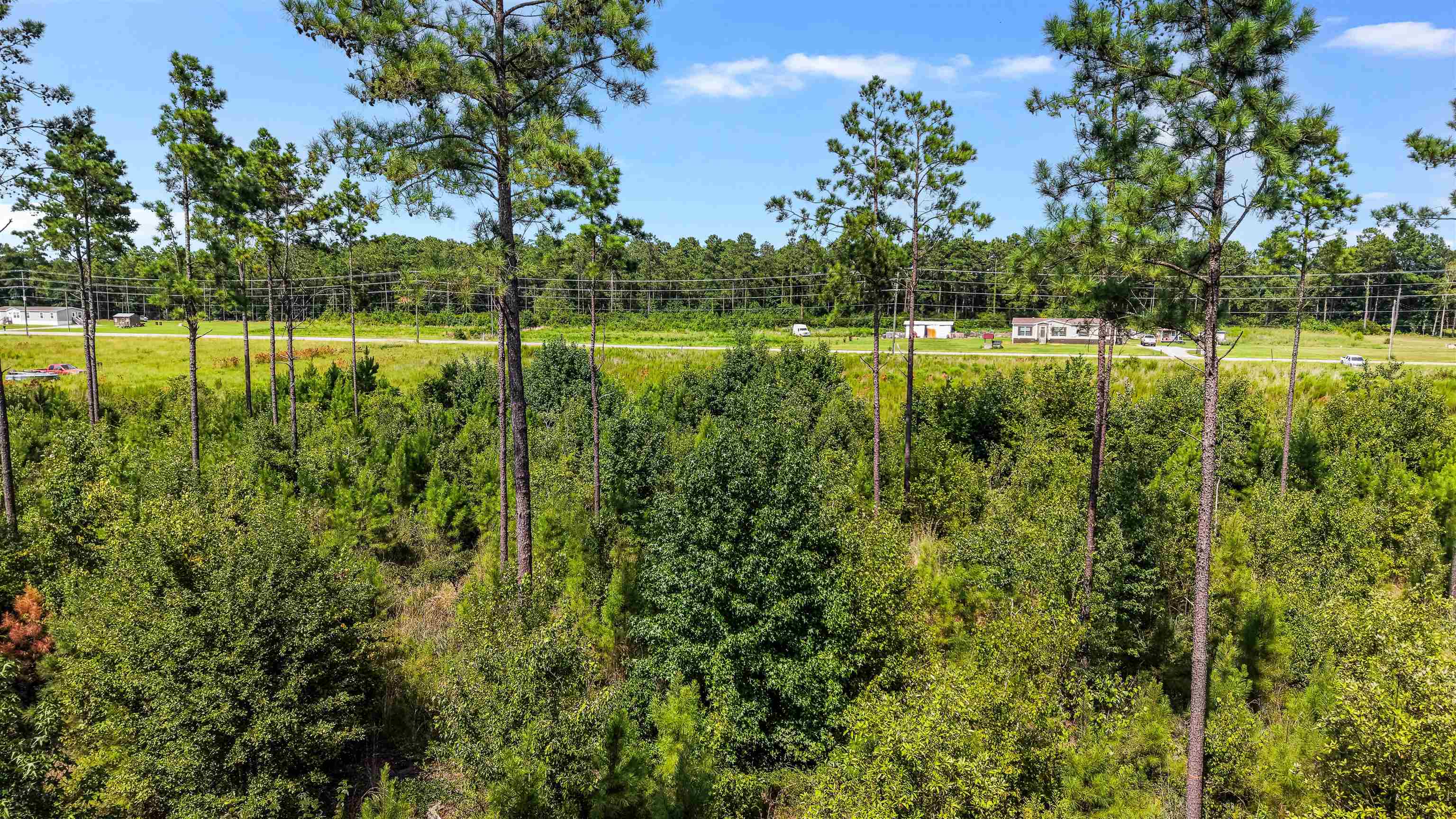 Tbd W Highway 19 Property Photo 8