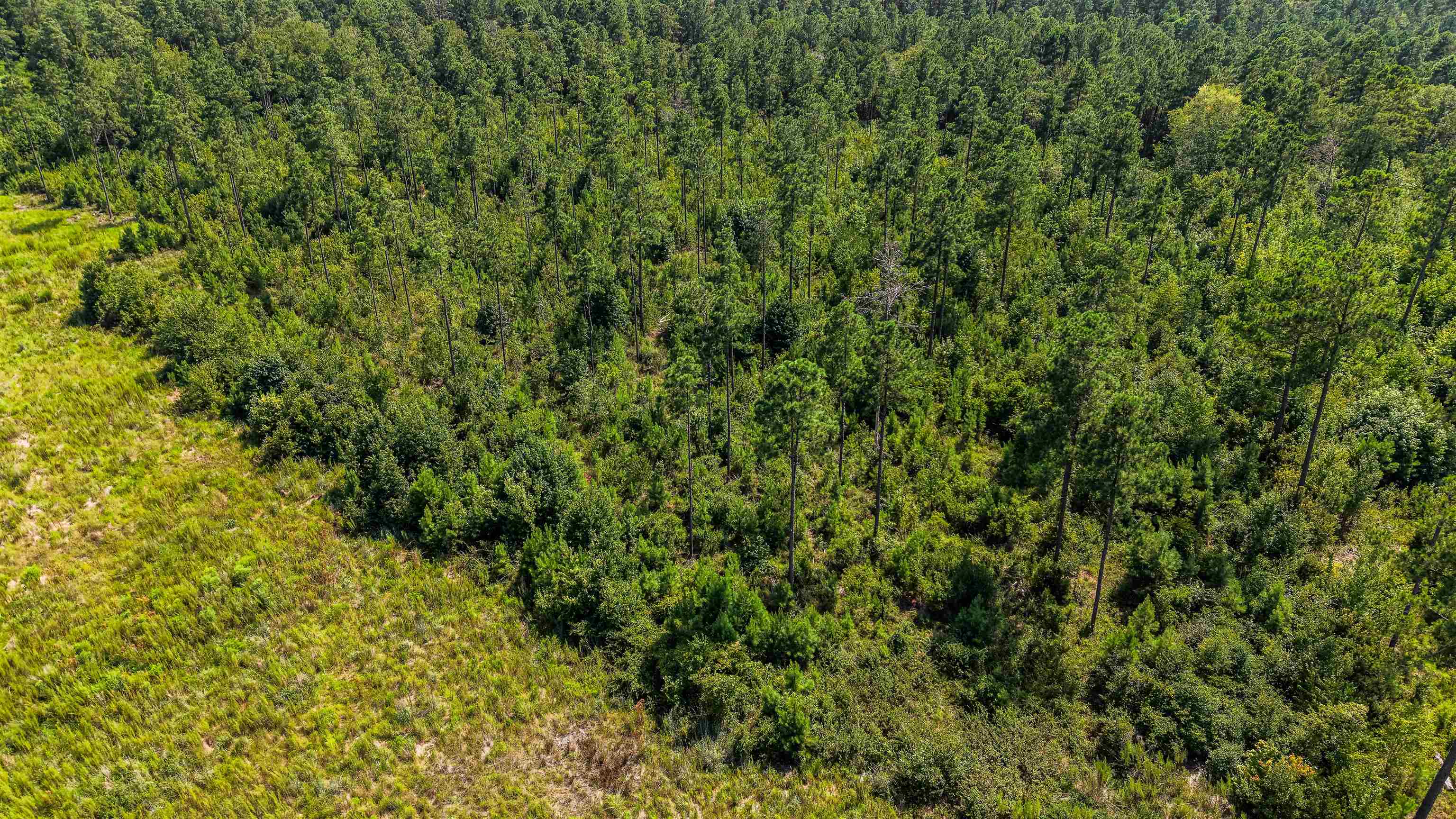 Tbd W Highway 19 Property Photo 9