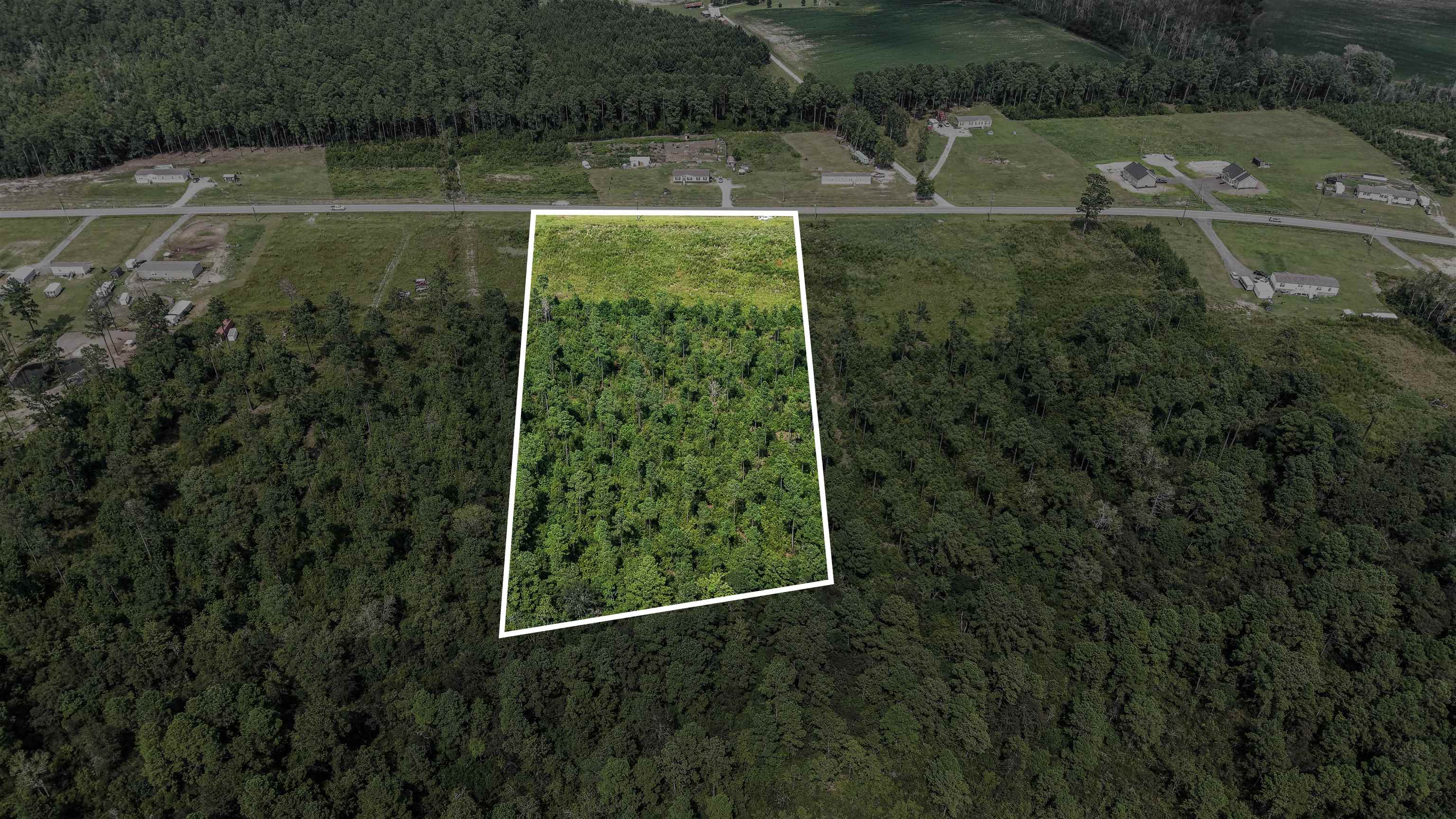 Tbd W Highway 19 Property Photo 10