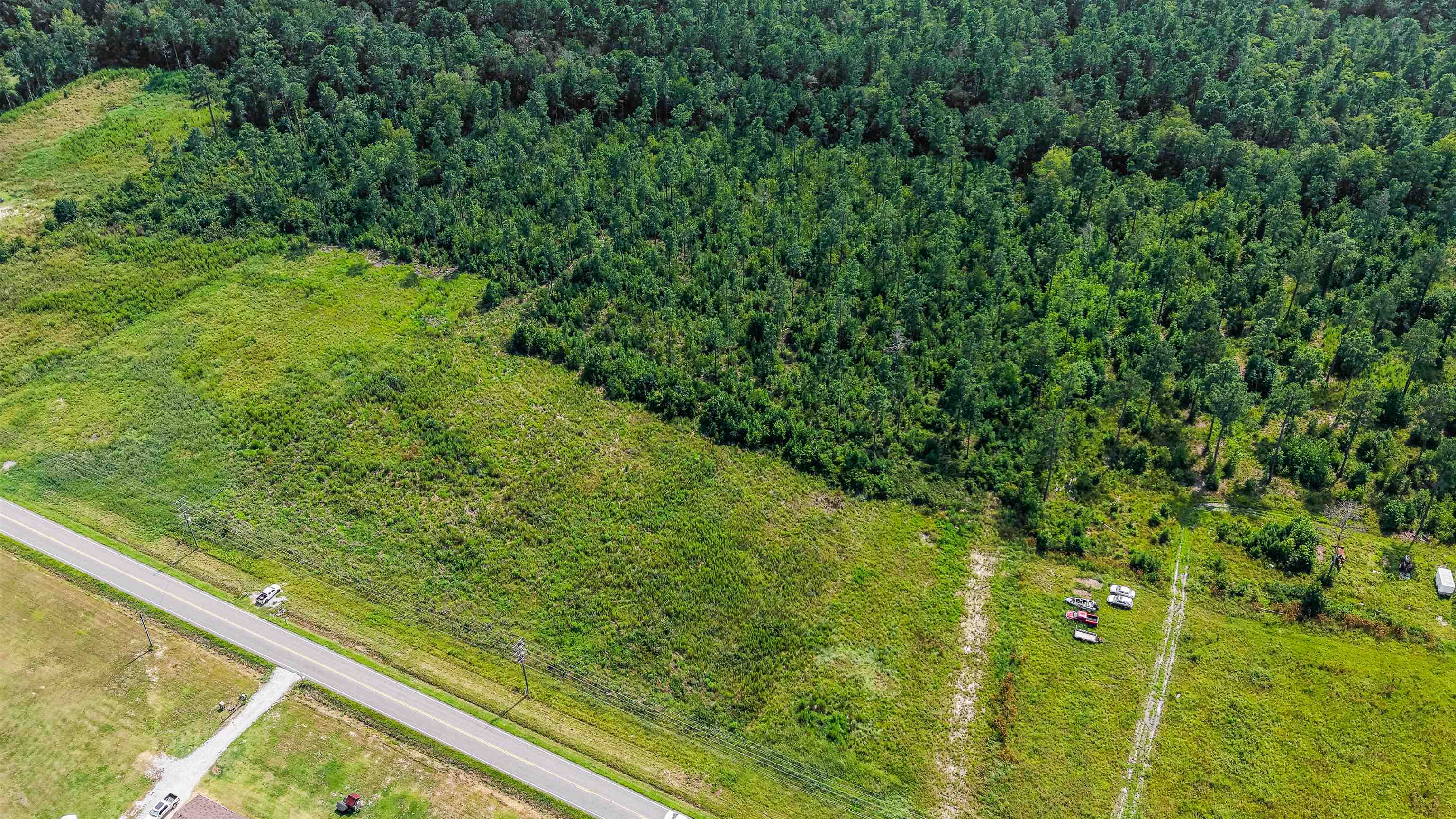 Tbd W Highway 19 Property Photo 13