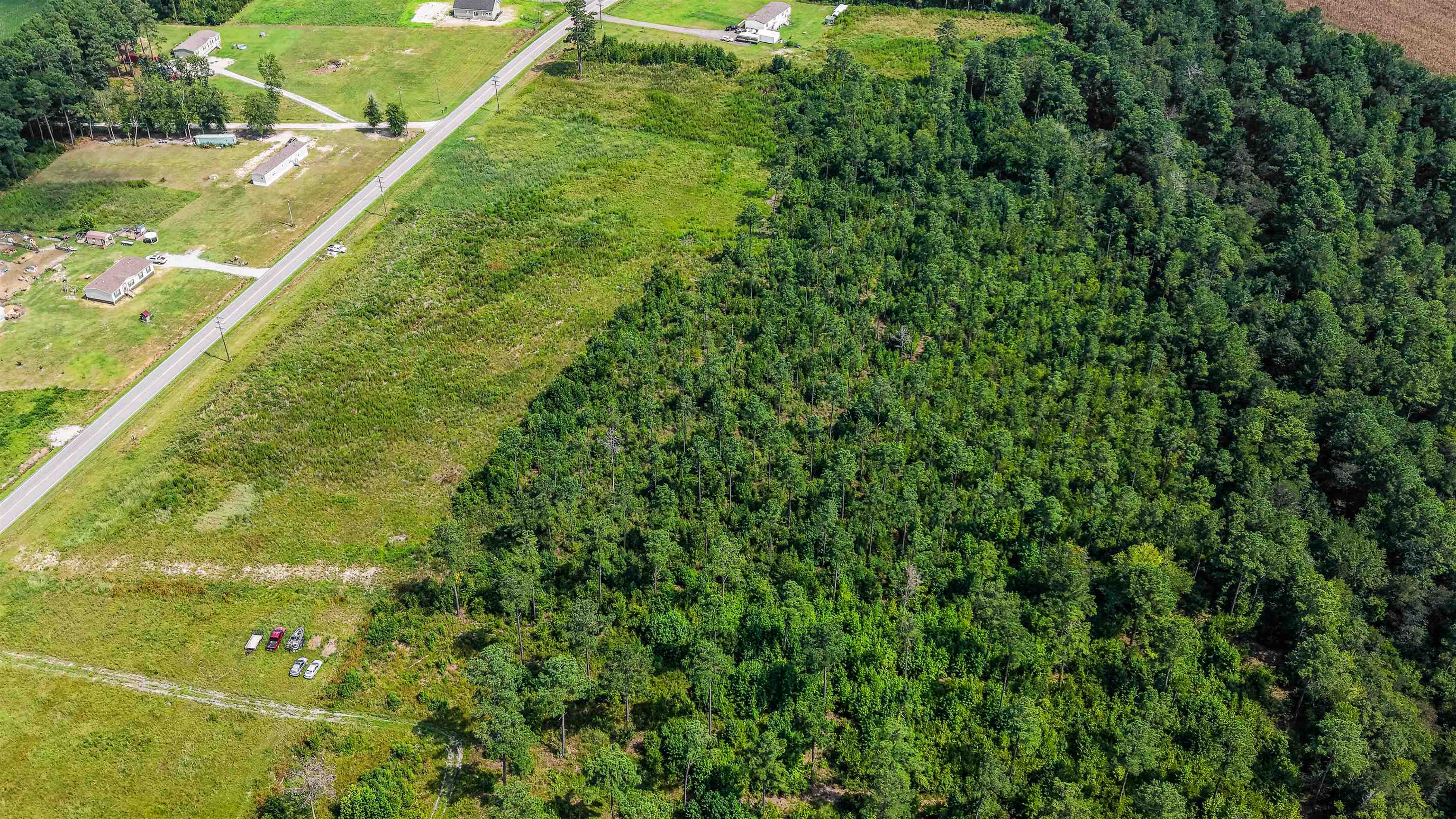 Tbd W Highway 19 Property Photo 15