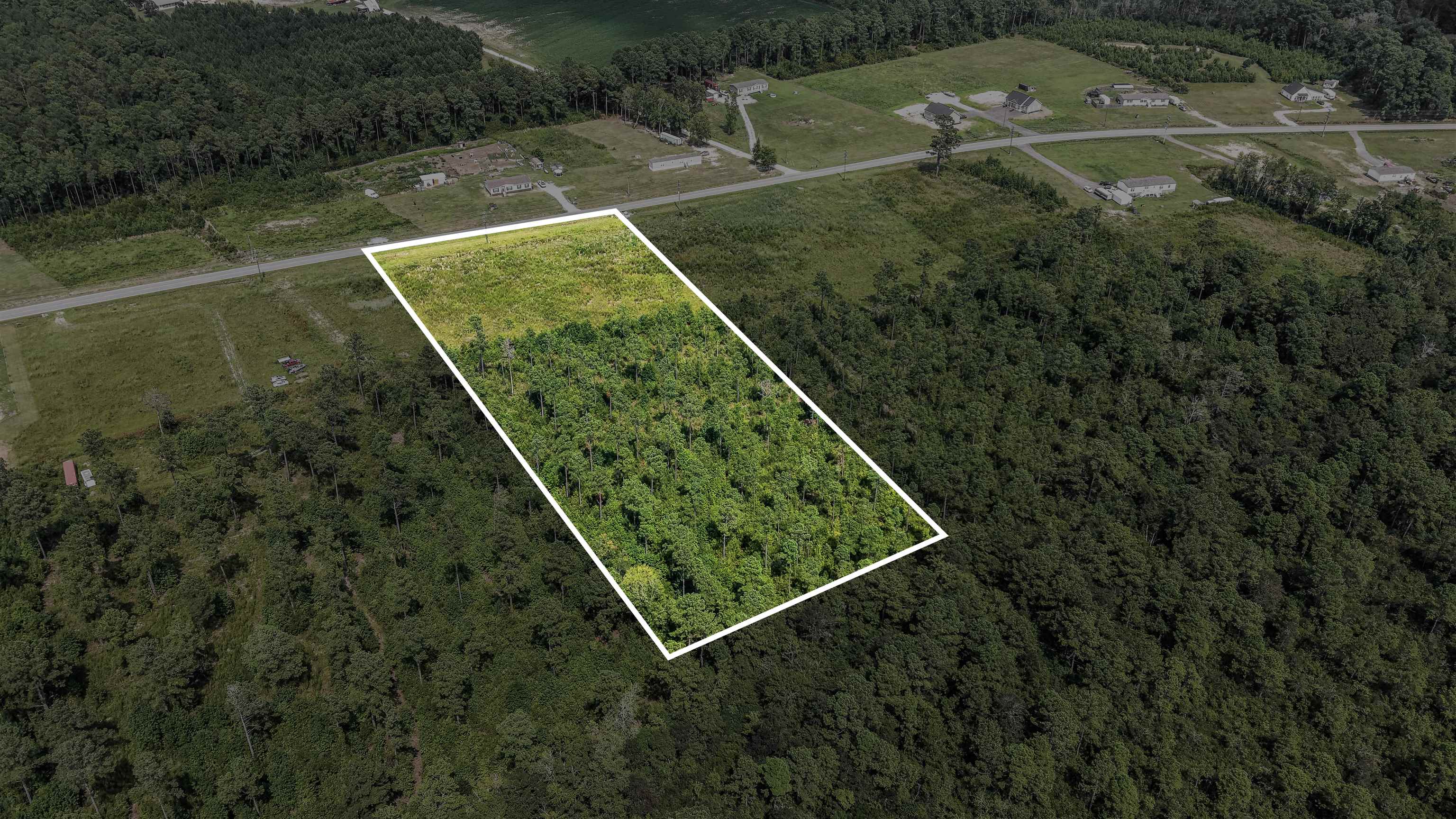 Tbd W Highway 19 Property Photo 16
