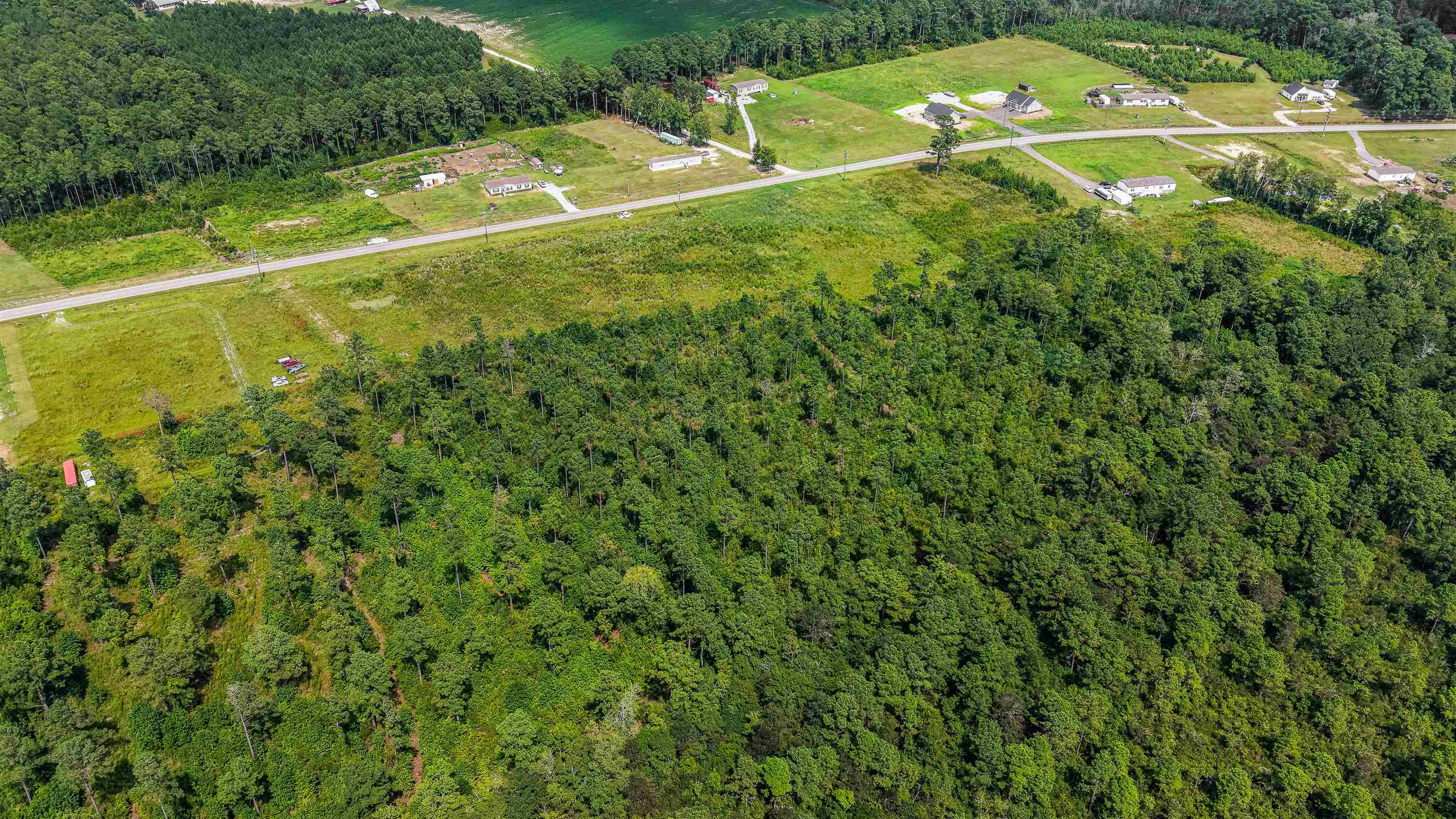 Tbd W Highway 19 Property Photo 17