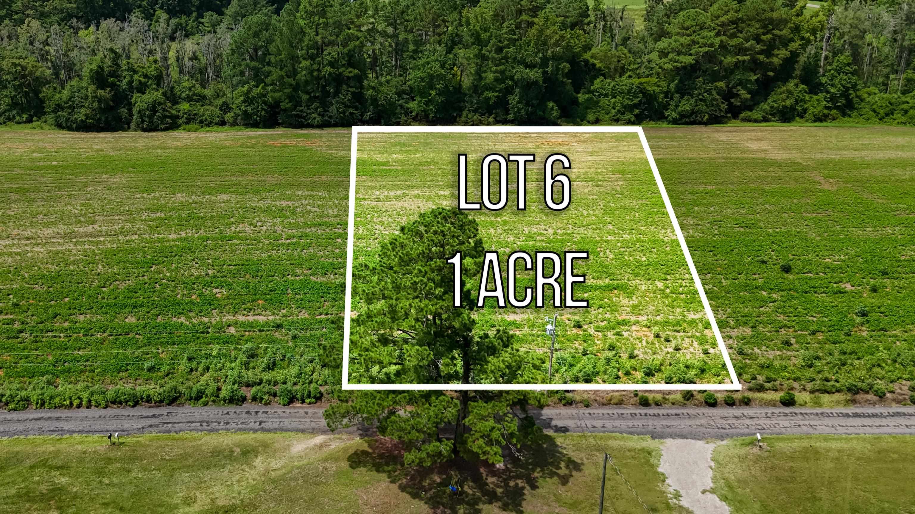 Lot 6 Ida Ln Property Photo 1