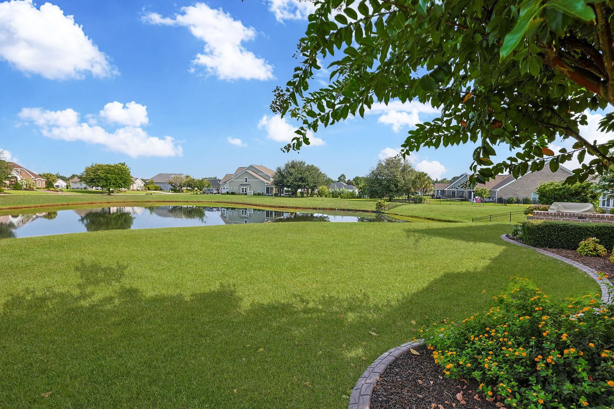 1005 Limpkin Dr. Property Photo 41