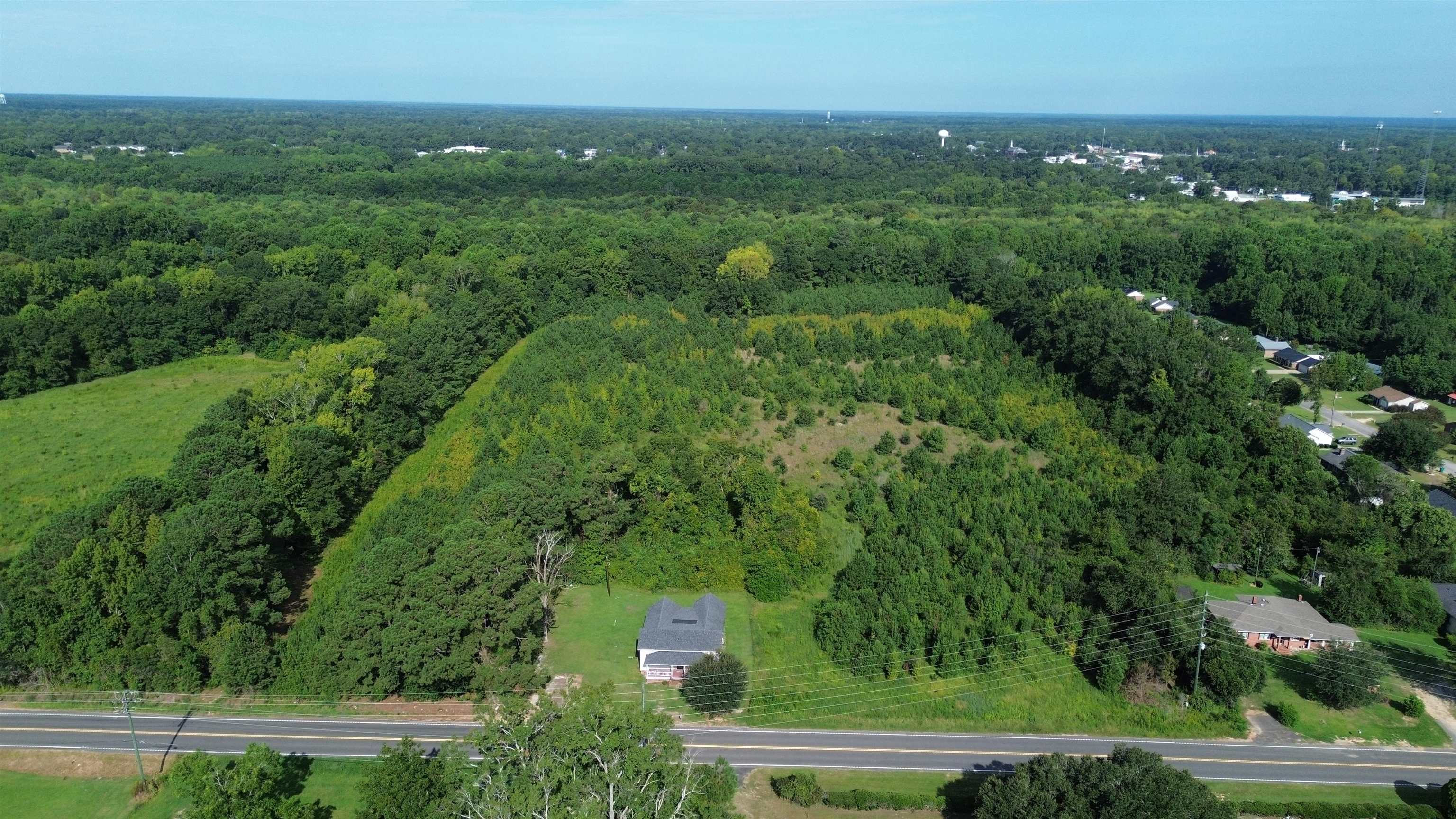 1292 Bloomville Rd. Property Photo 5