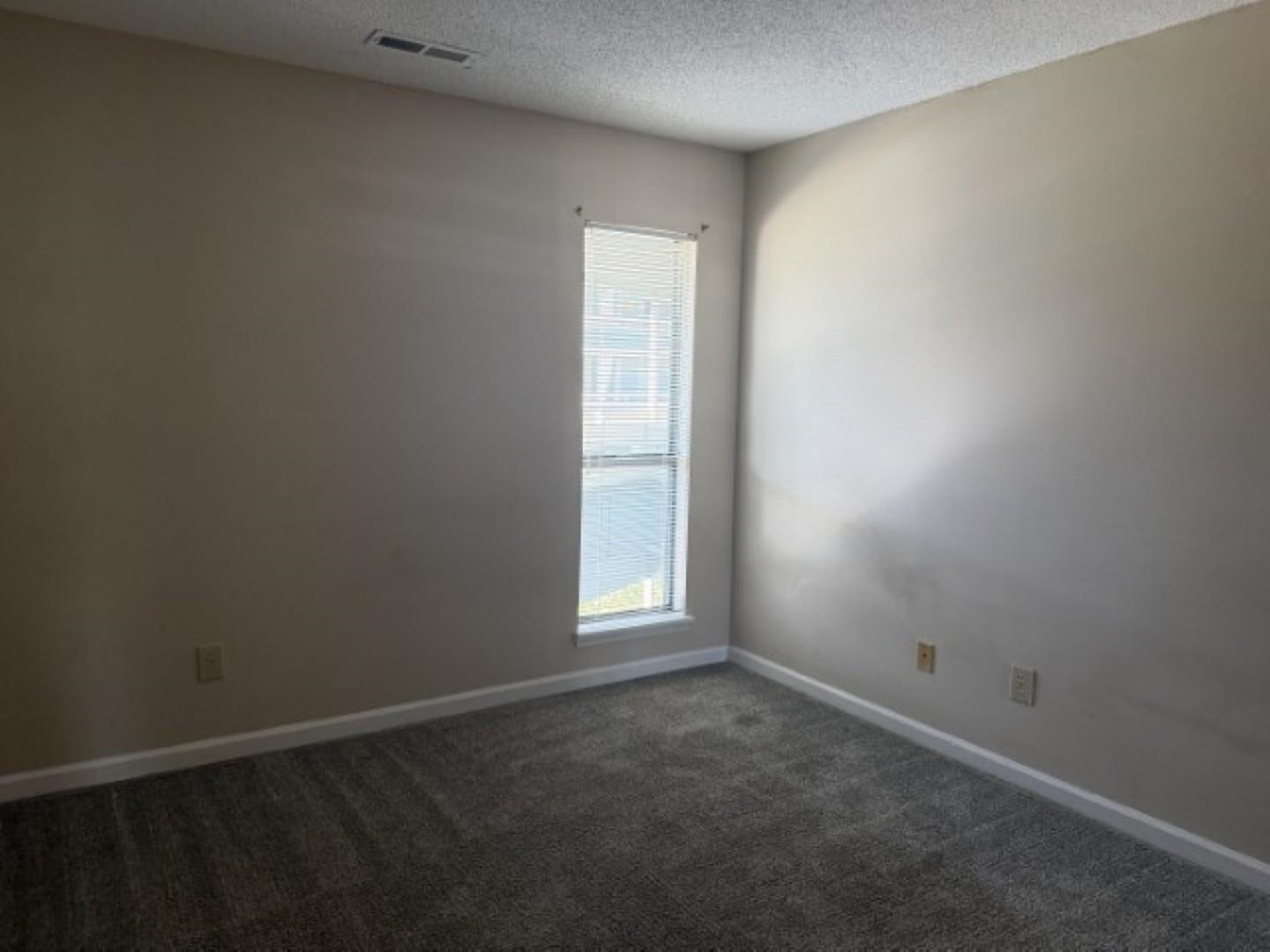 1101 Possum Trot Rd. Property Photo 5