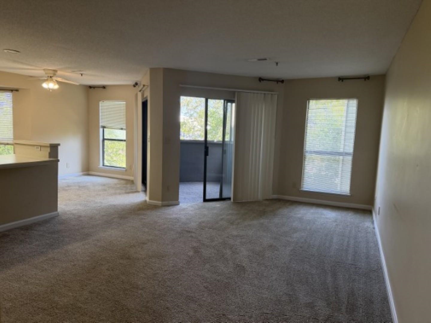 1101 Possum Trot Rd. Property Photo 11