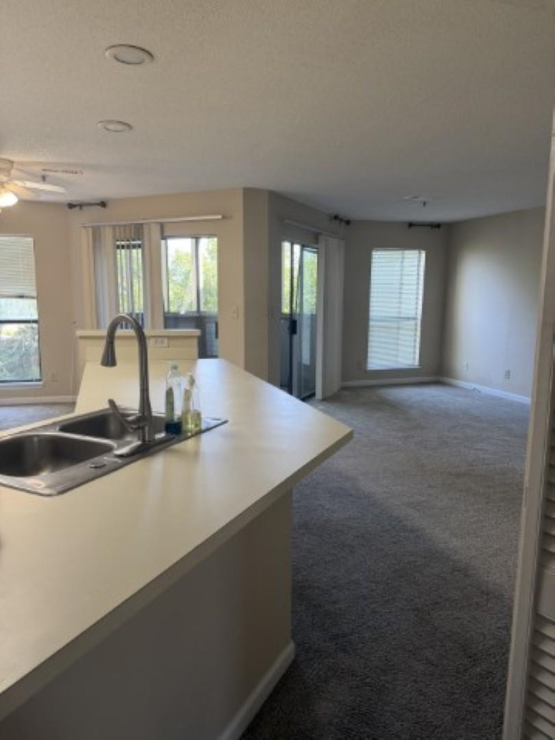 1101 Possum Trot Rd. Property Photo 20