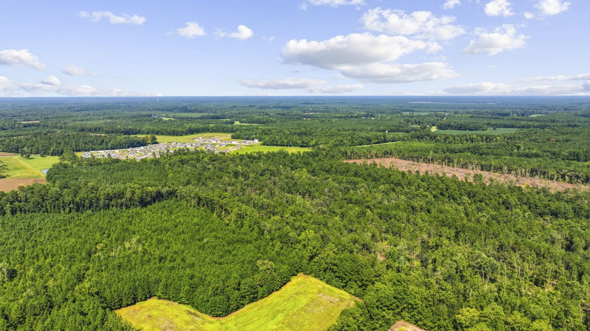 Tbd Fries Bay Rd. Property Photo 5