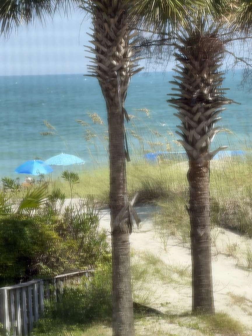 9570 Shore Dr. Property Photo 33