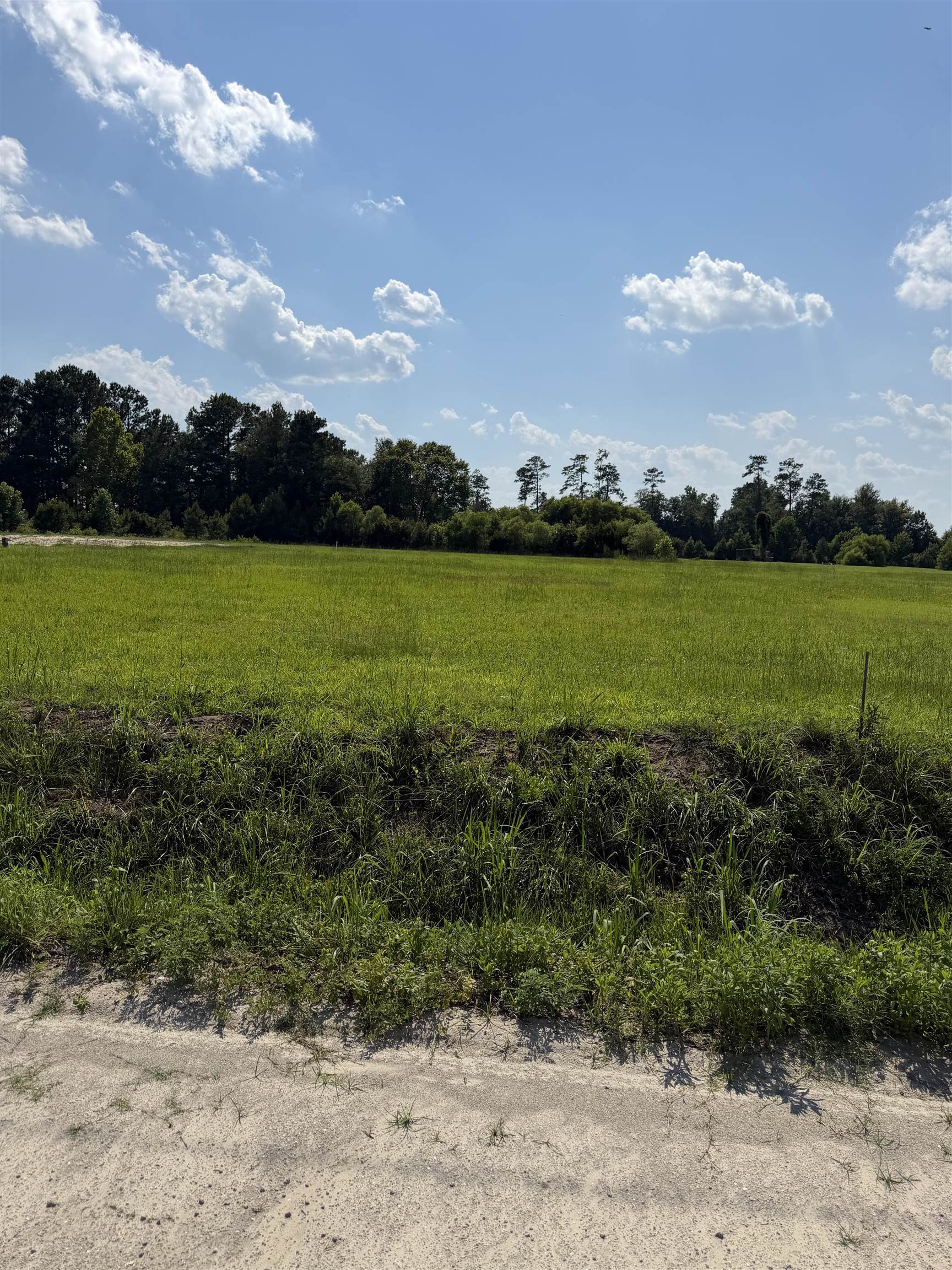Tbd Strickland Rd. Property Photo 5