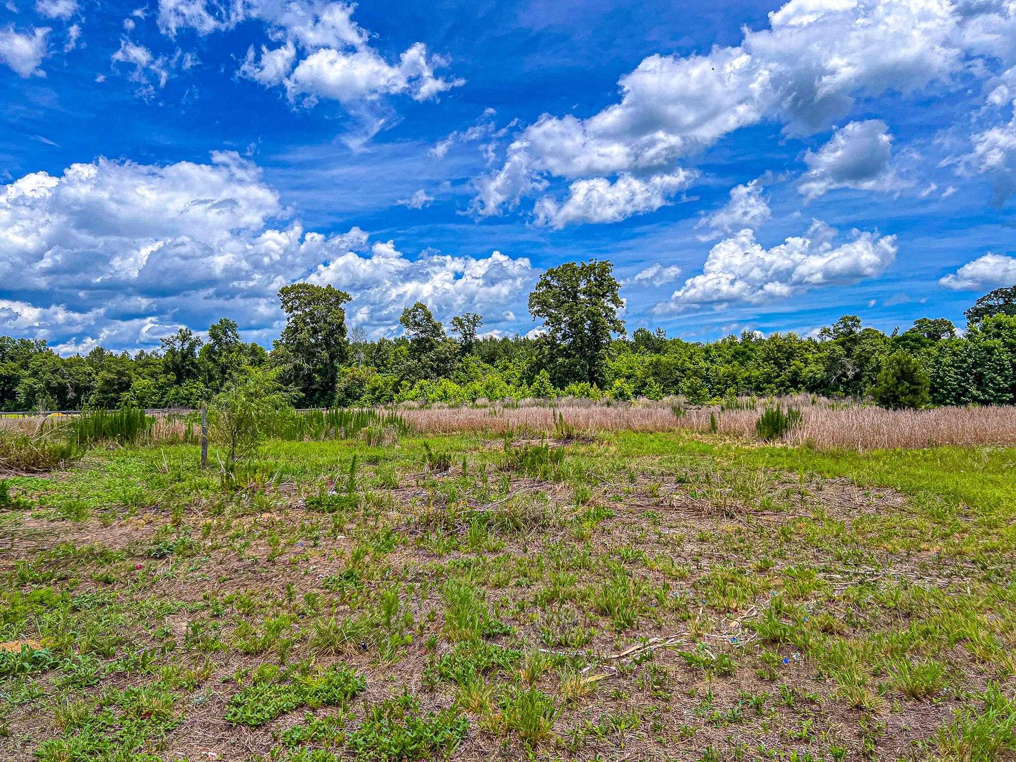 176 Old Flowers Rd. Property Photo 48