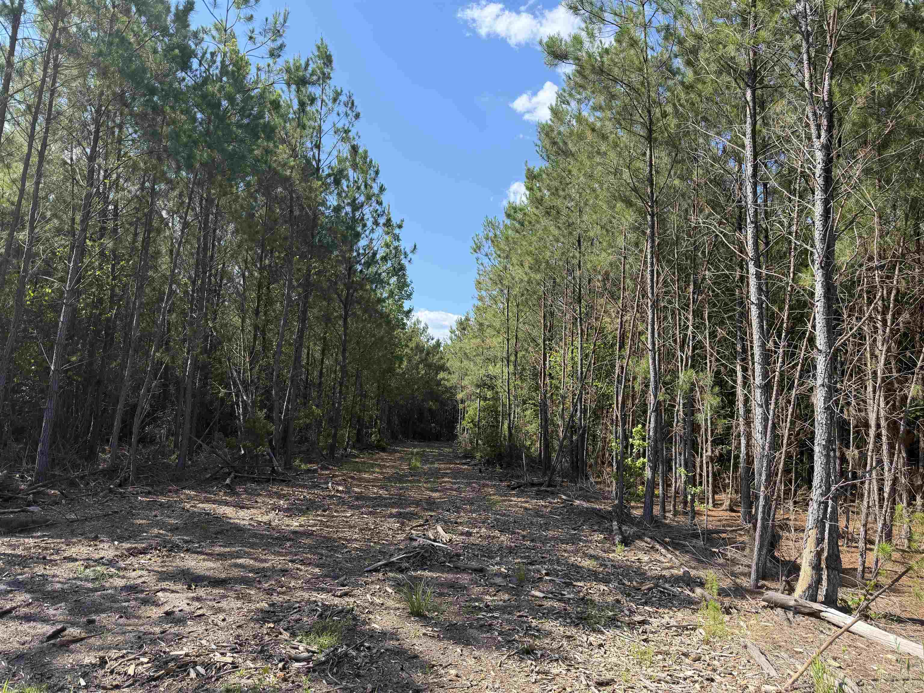 8862 Ware Dr. Property Photo 1