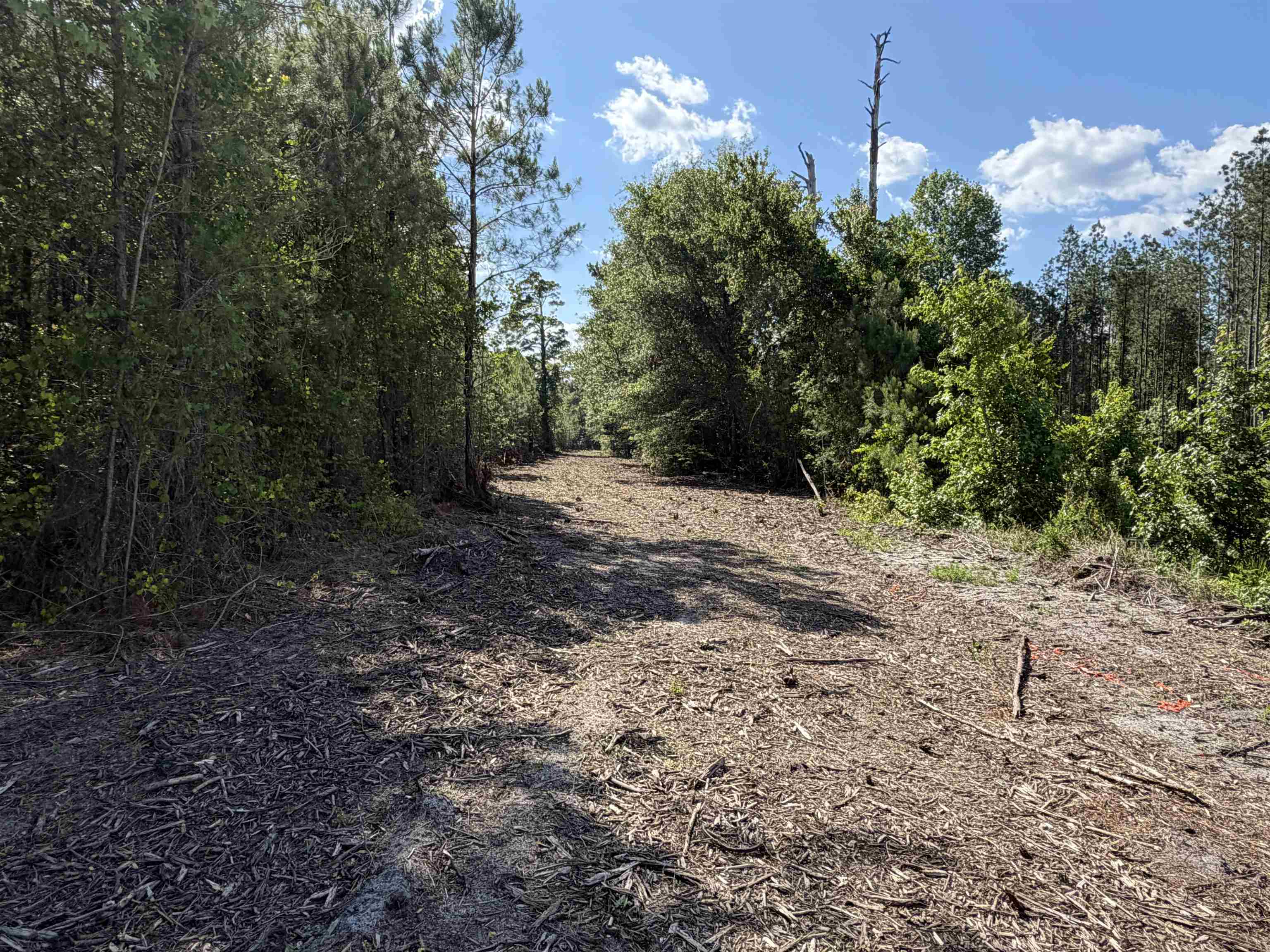 8862 Ware Dr. Property Photo 6
