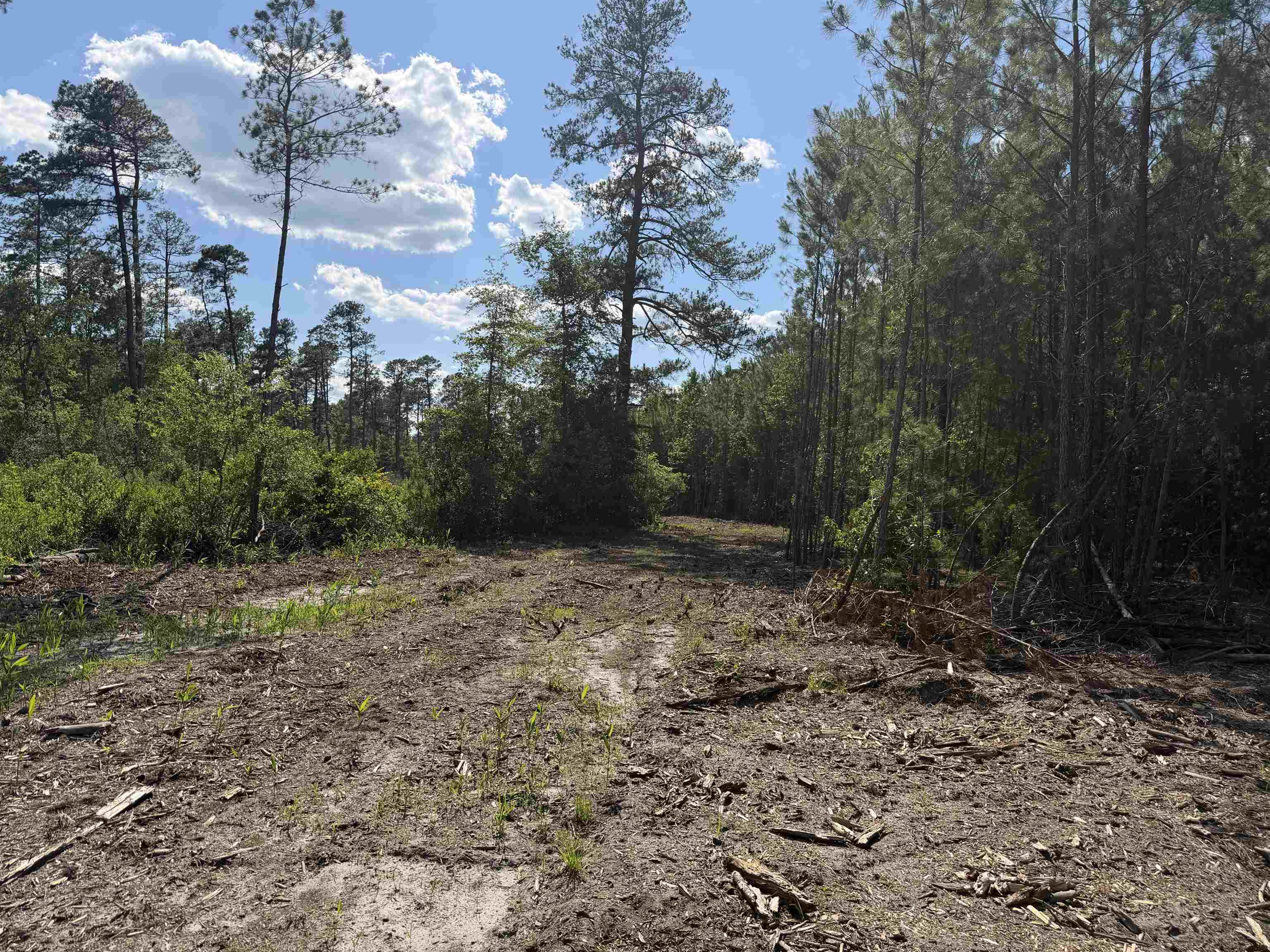 8862 Ware Dr. Property Photo 11