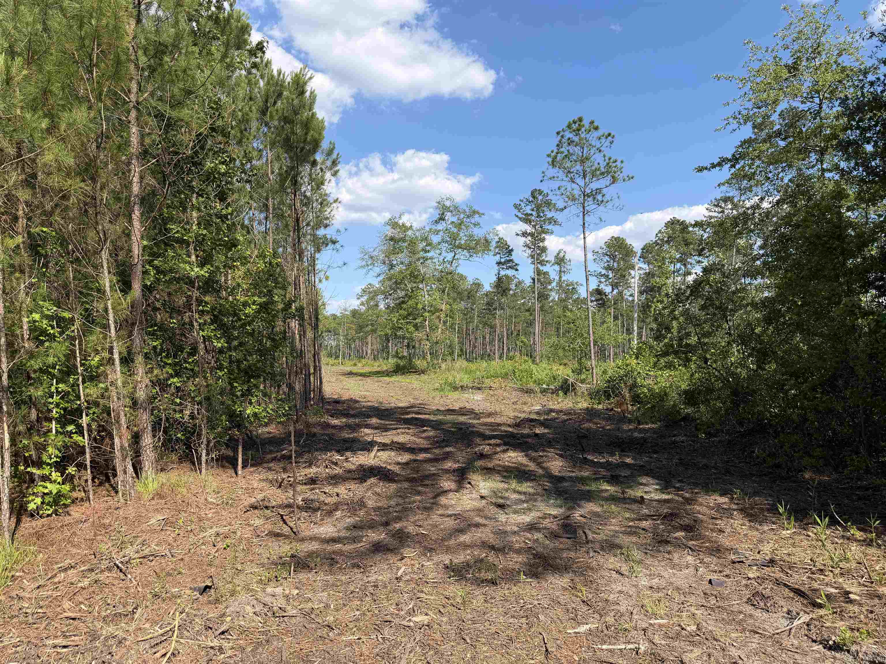 8862 Ware Dr. Property Photo 15