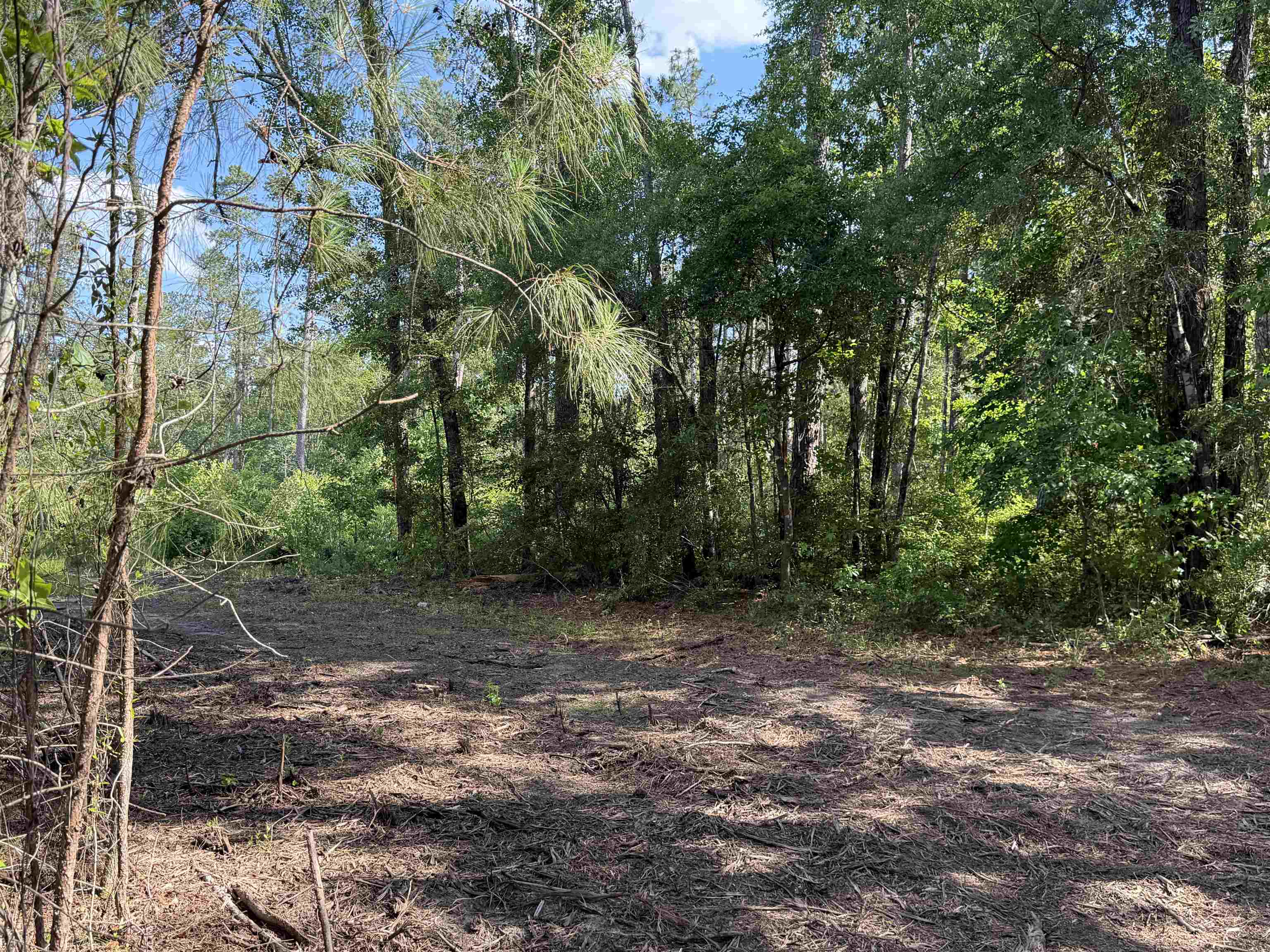 8862 Ware Dr. Property Photo 17