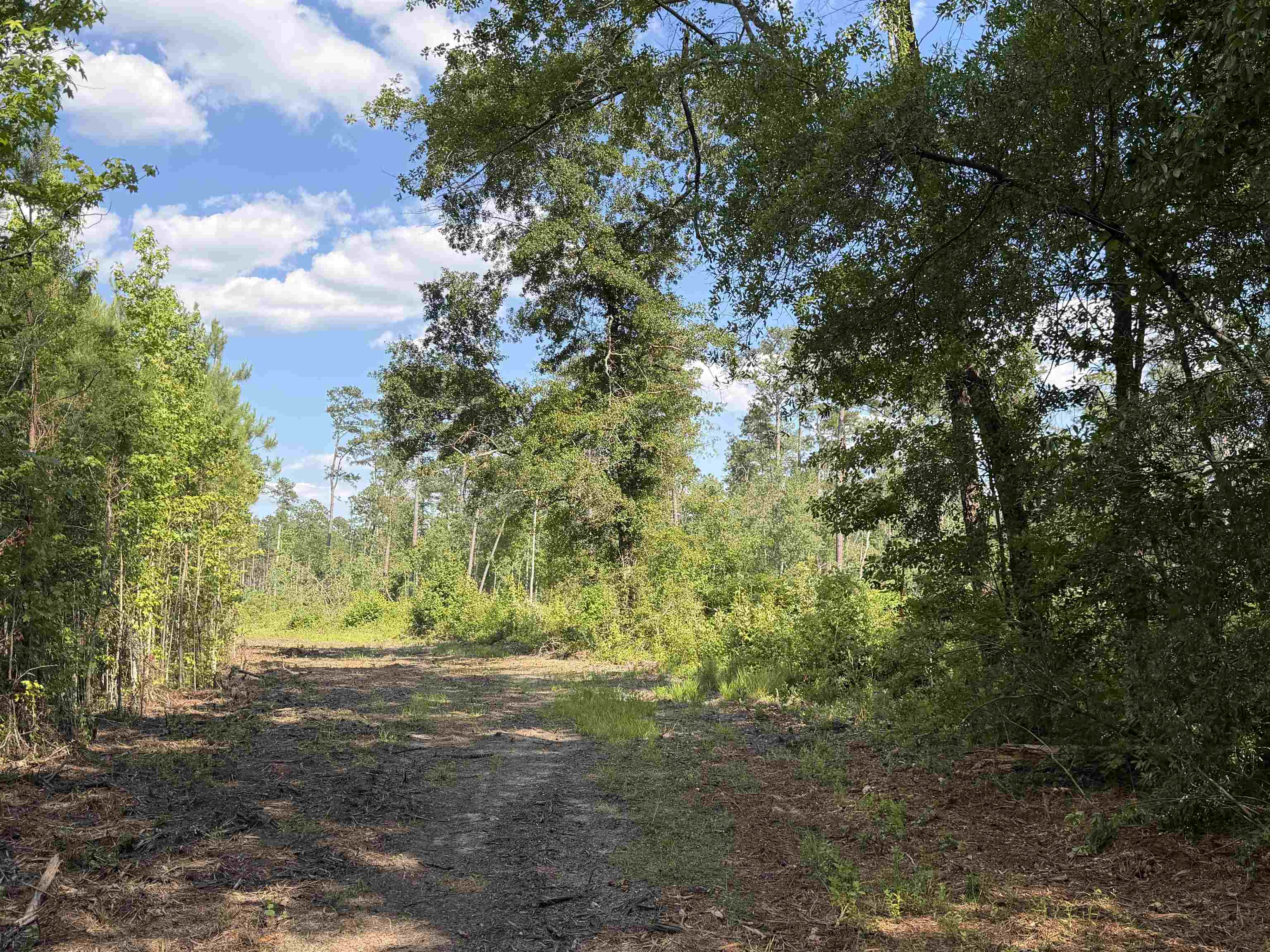 8862 Ware Dr. Property Photo 18
