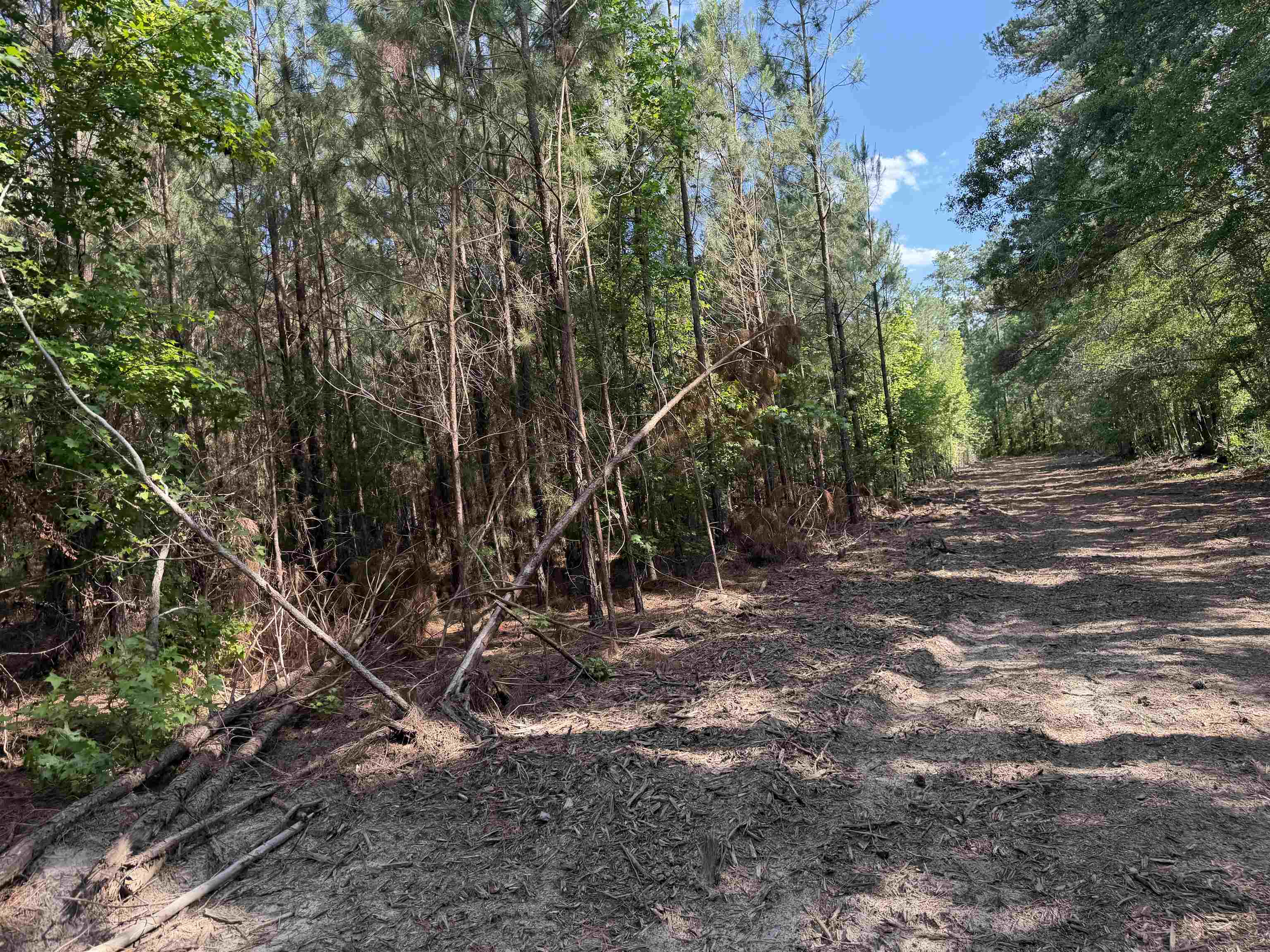 8862 Ware Dr. Property Photo 19