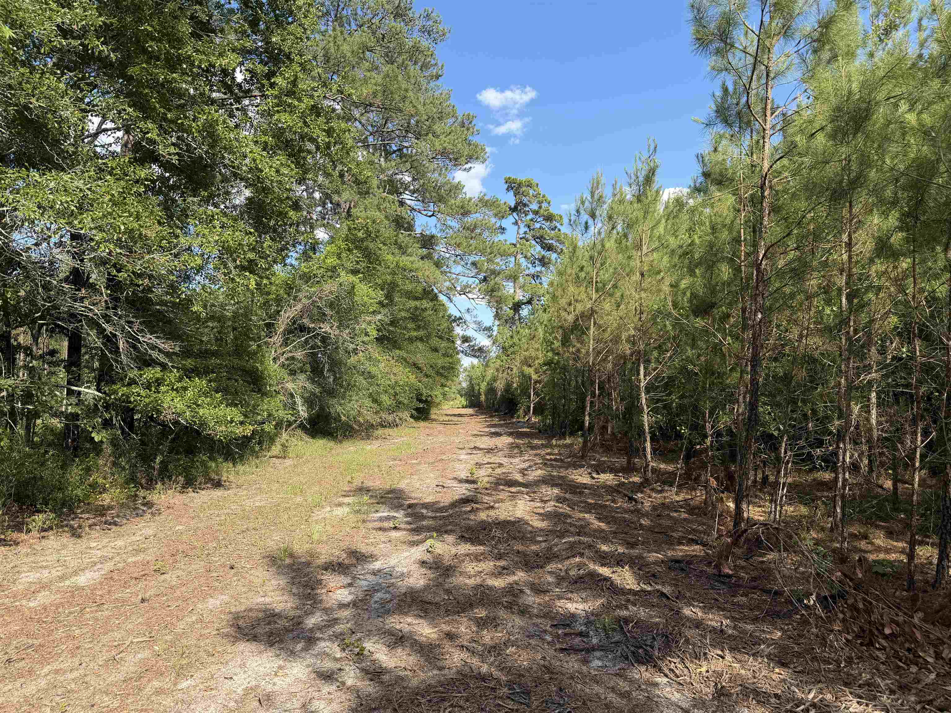 8862 Ware Dr. Property Photo 21