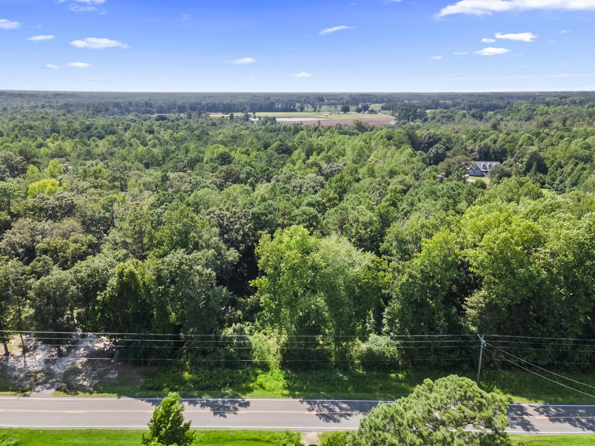 Cane Branch Rd. Property Photo 4