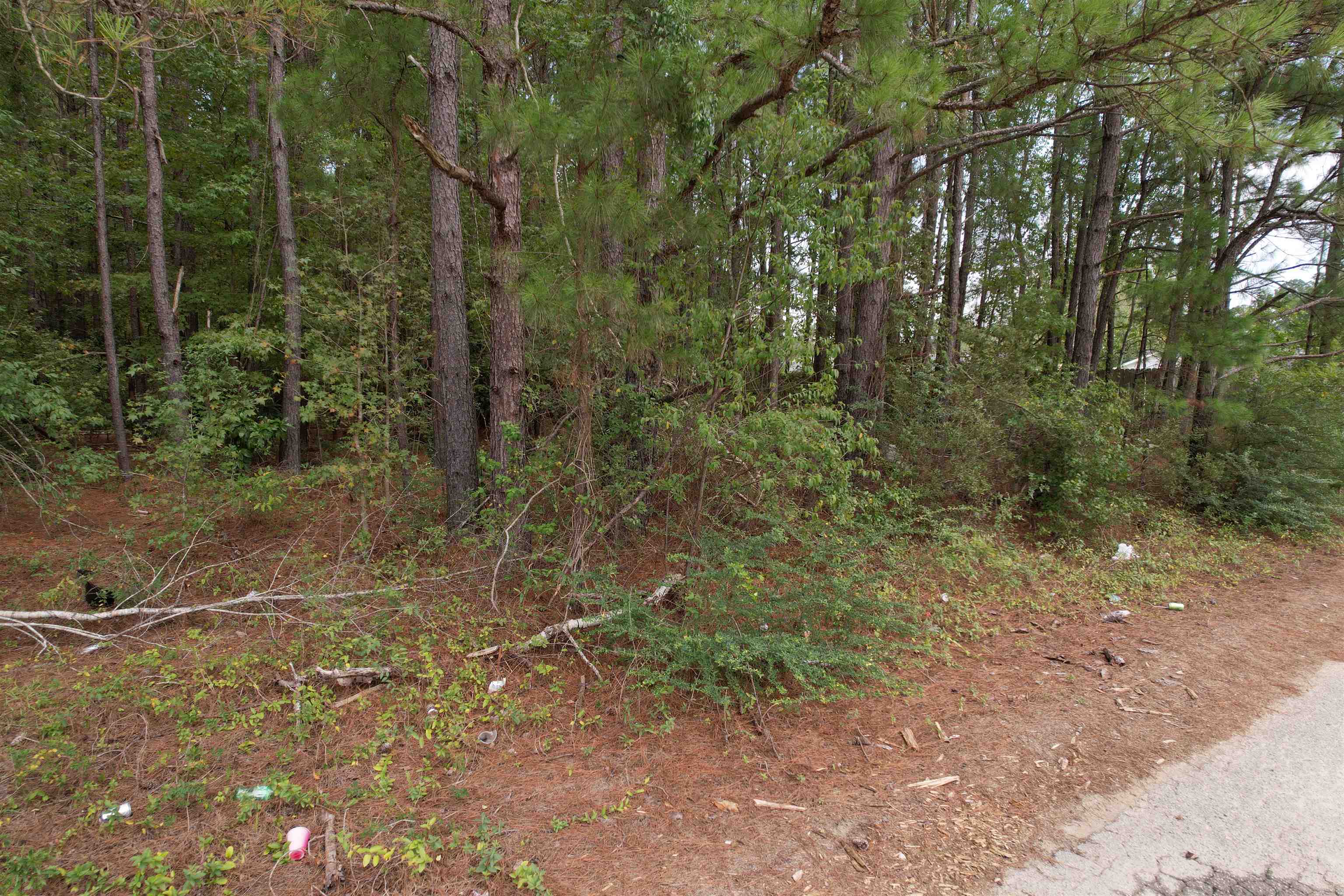 1.43 Acres - W Hemlock St. Property Photo 4