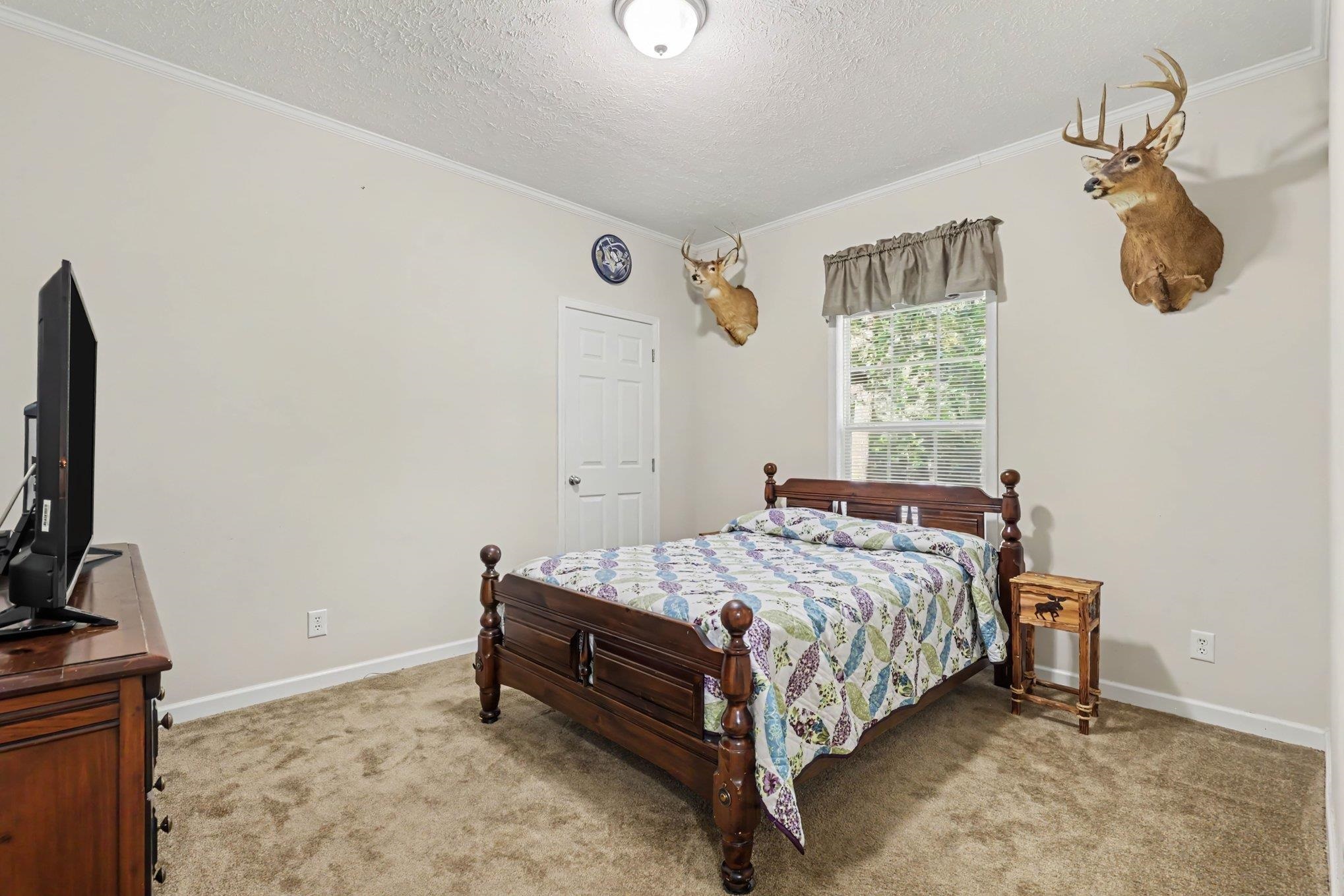 1692 Cane Branch Rd. Property Photo 15