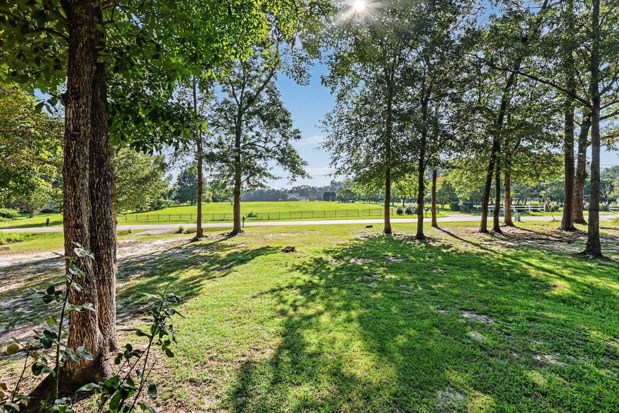 1692 Cane Branch Rd. Property Photo 20
