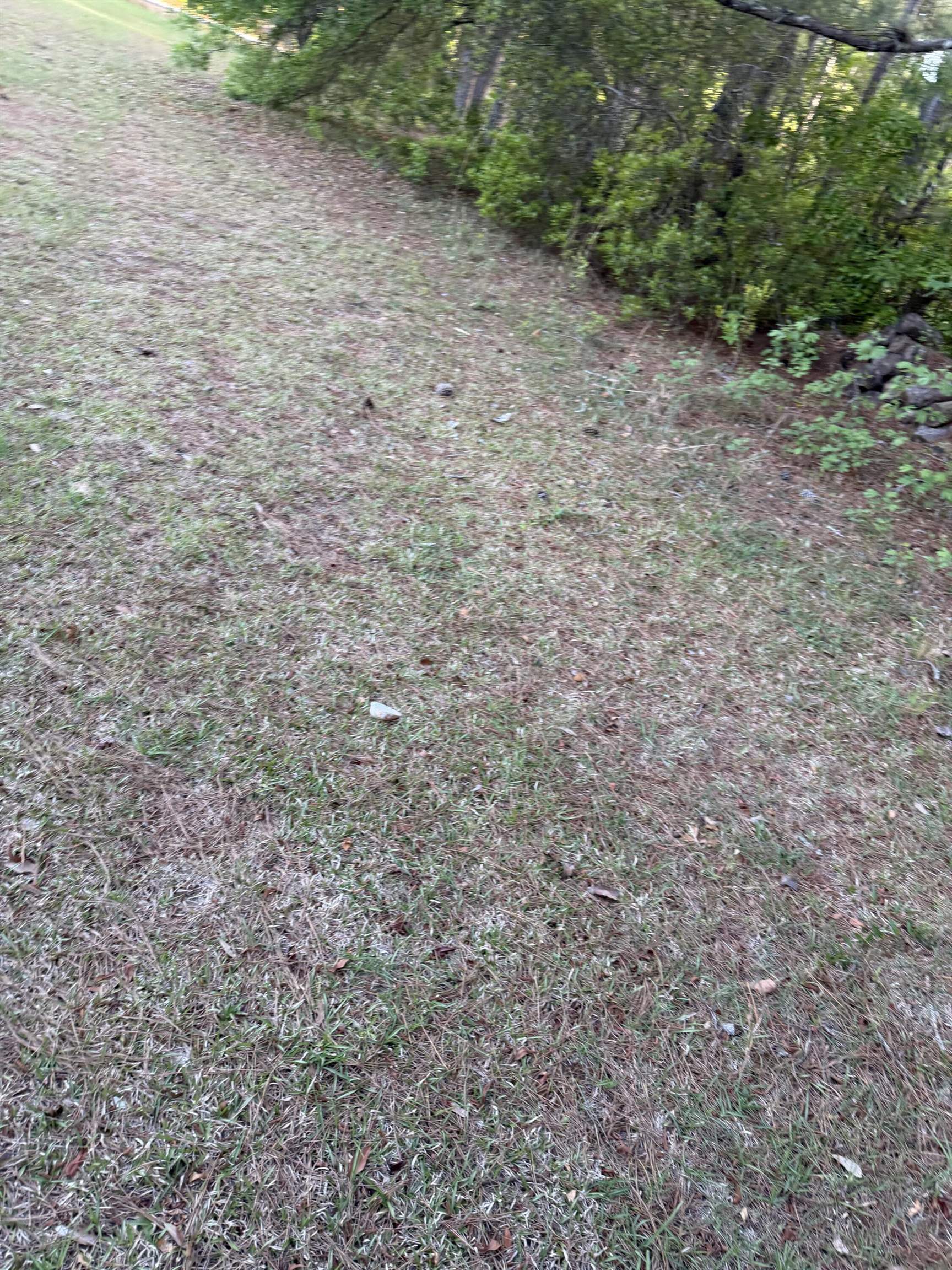 1605 Weldon Ln. Property Photo 3