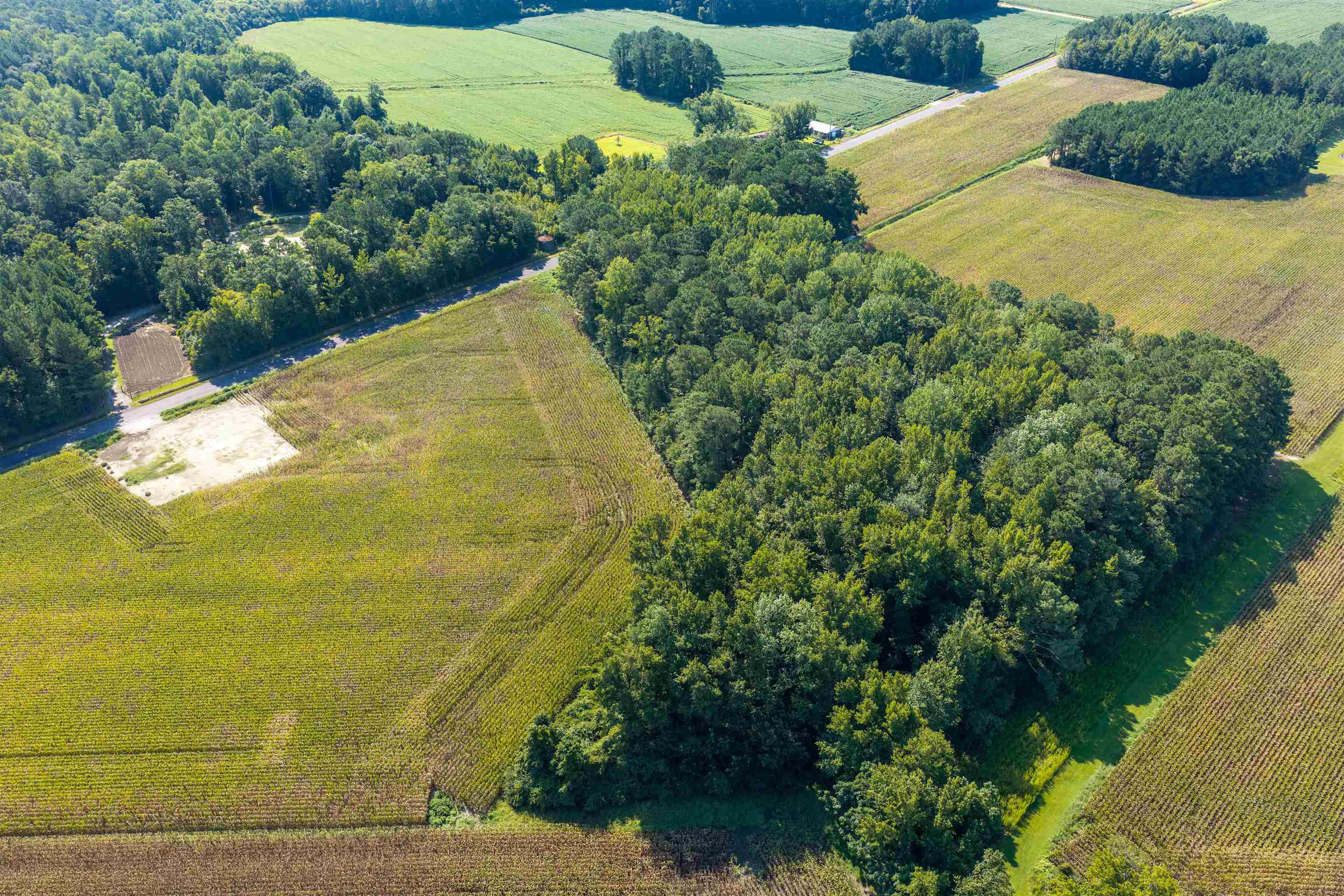 Tbd Birchfield Dr. Property Photo 6