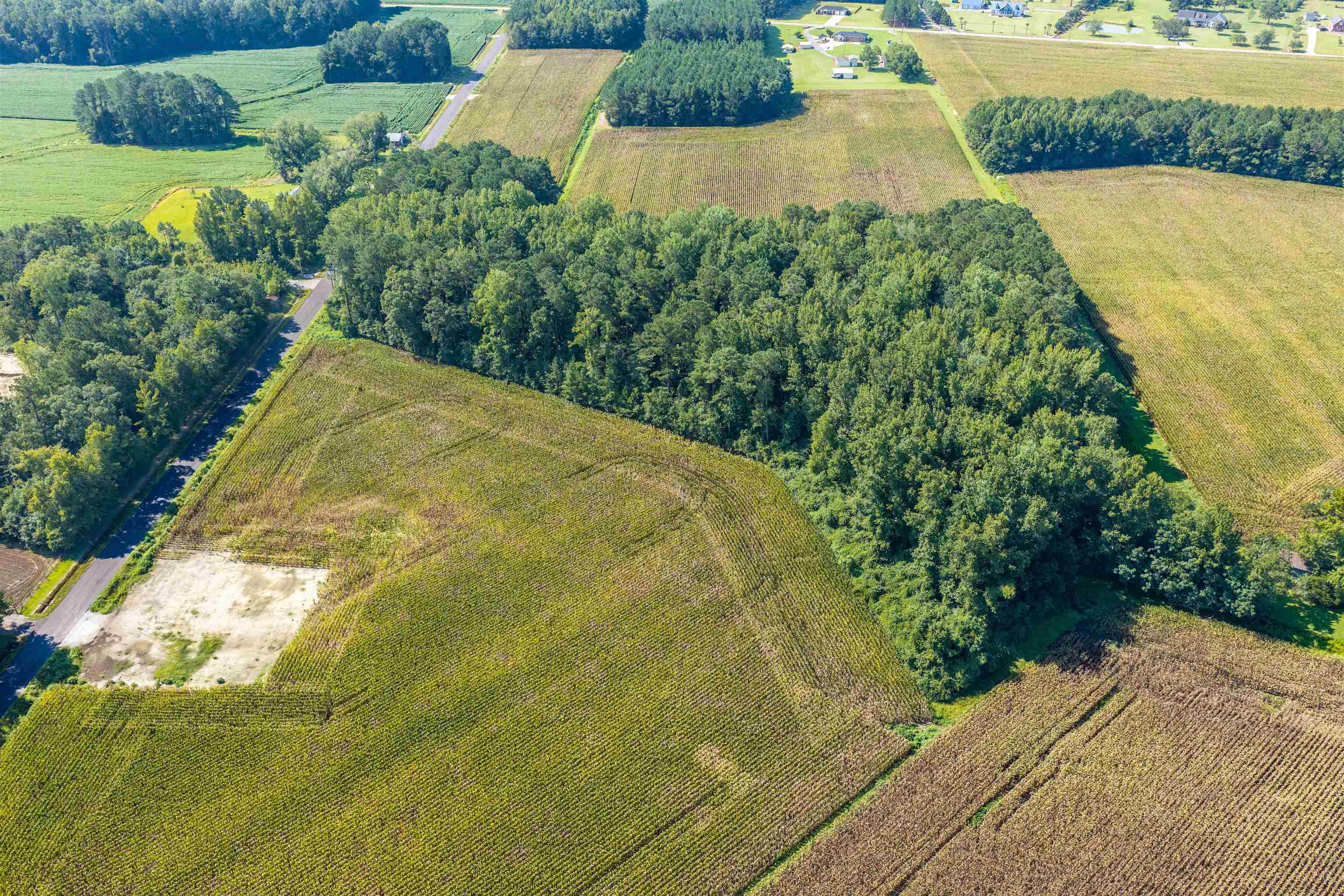 Tbd Lot 2 Birchfield Dr. Property Photo 4