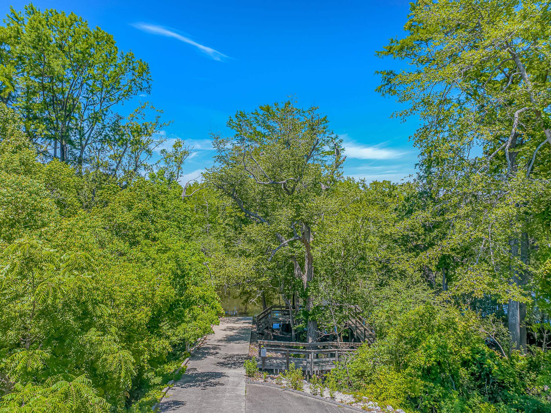 505 Oak Pond Ct. Property Photo 41