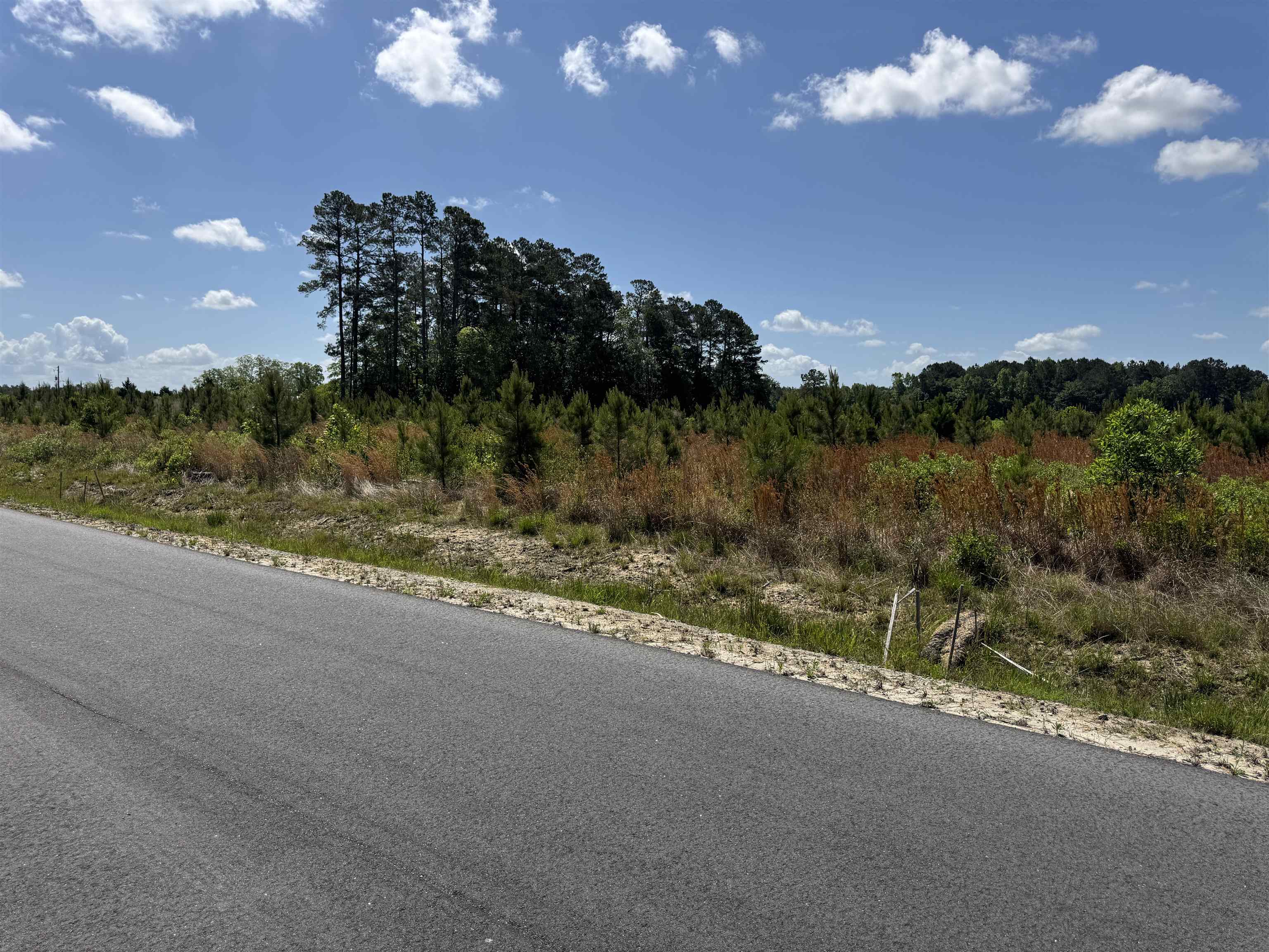 4782 Grainger Circle Property Photo 10
