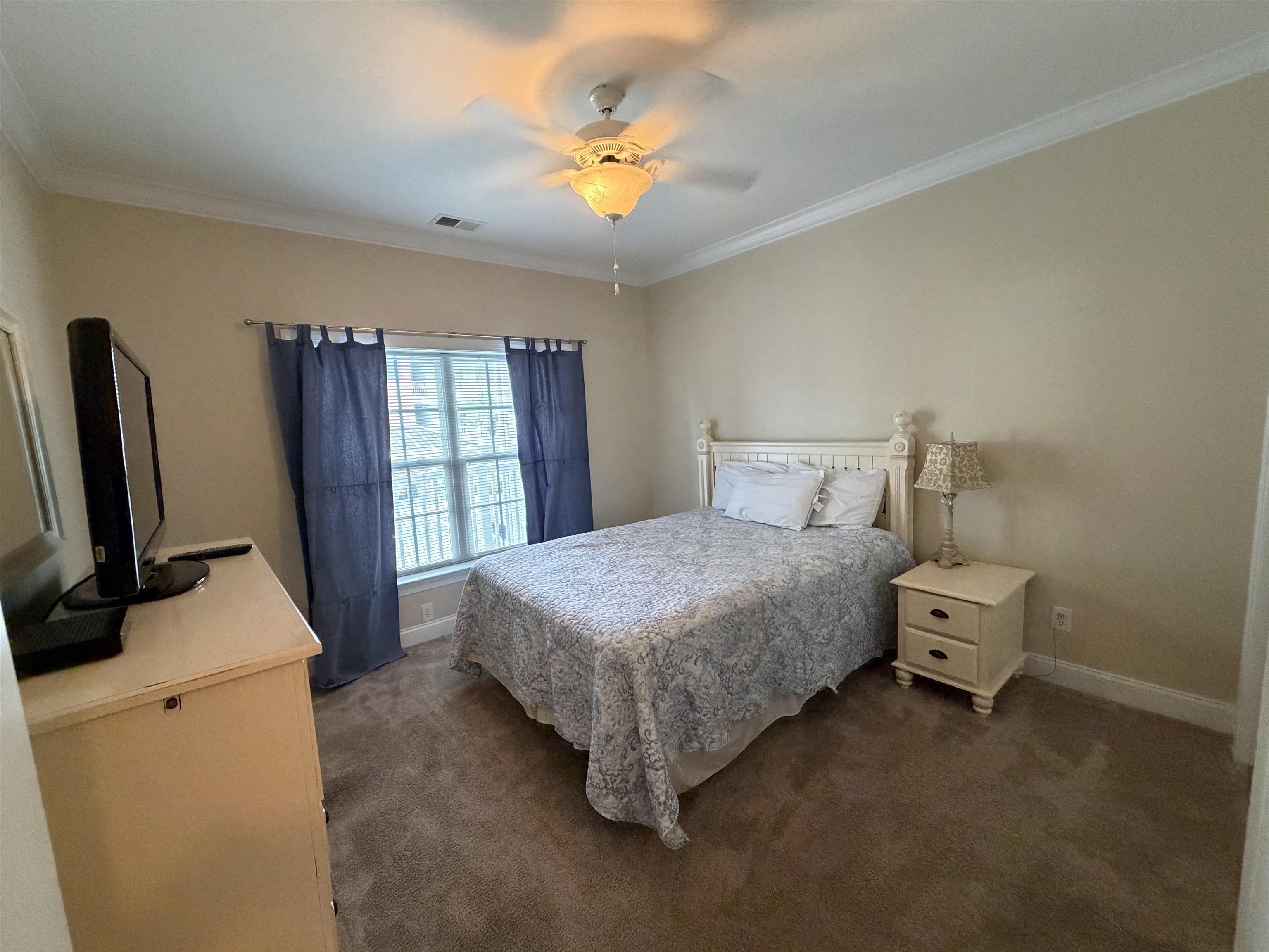 1101 Louise Costin Ln. Property Photo 29