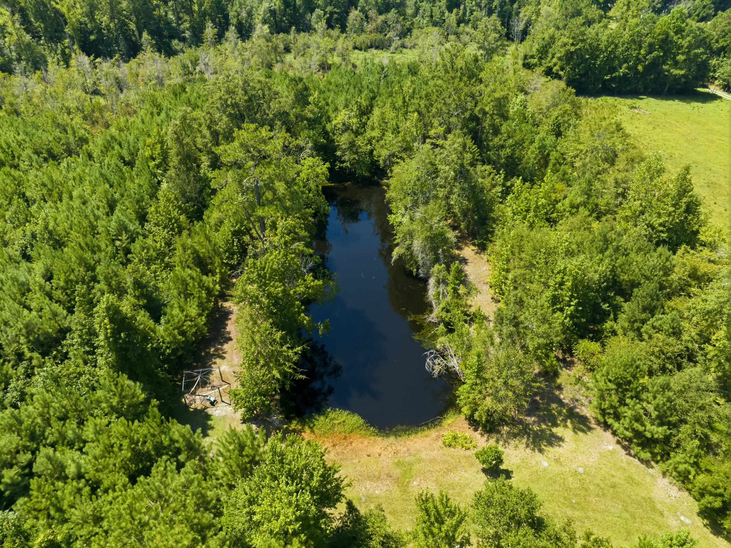 6400 Black Creek Rd. Property Photo 11