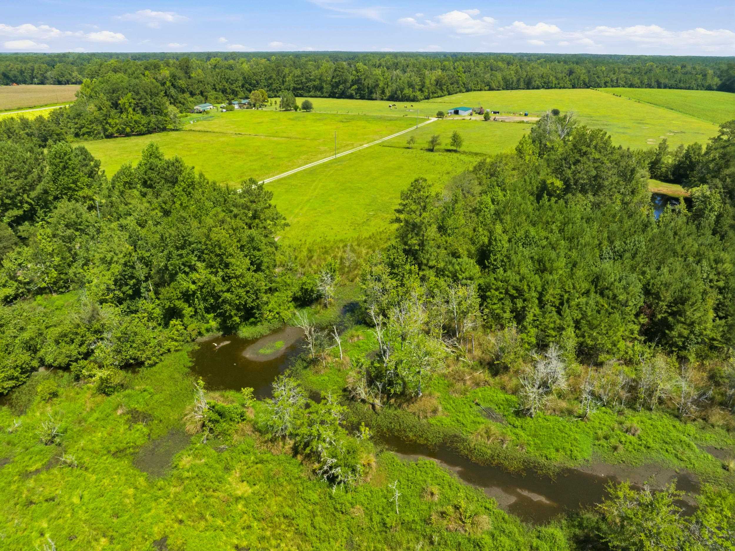 6400 Black Creek Rd. Property Photo 12