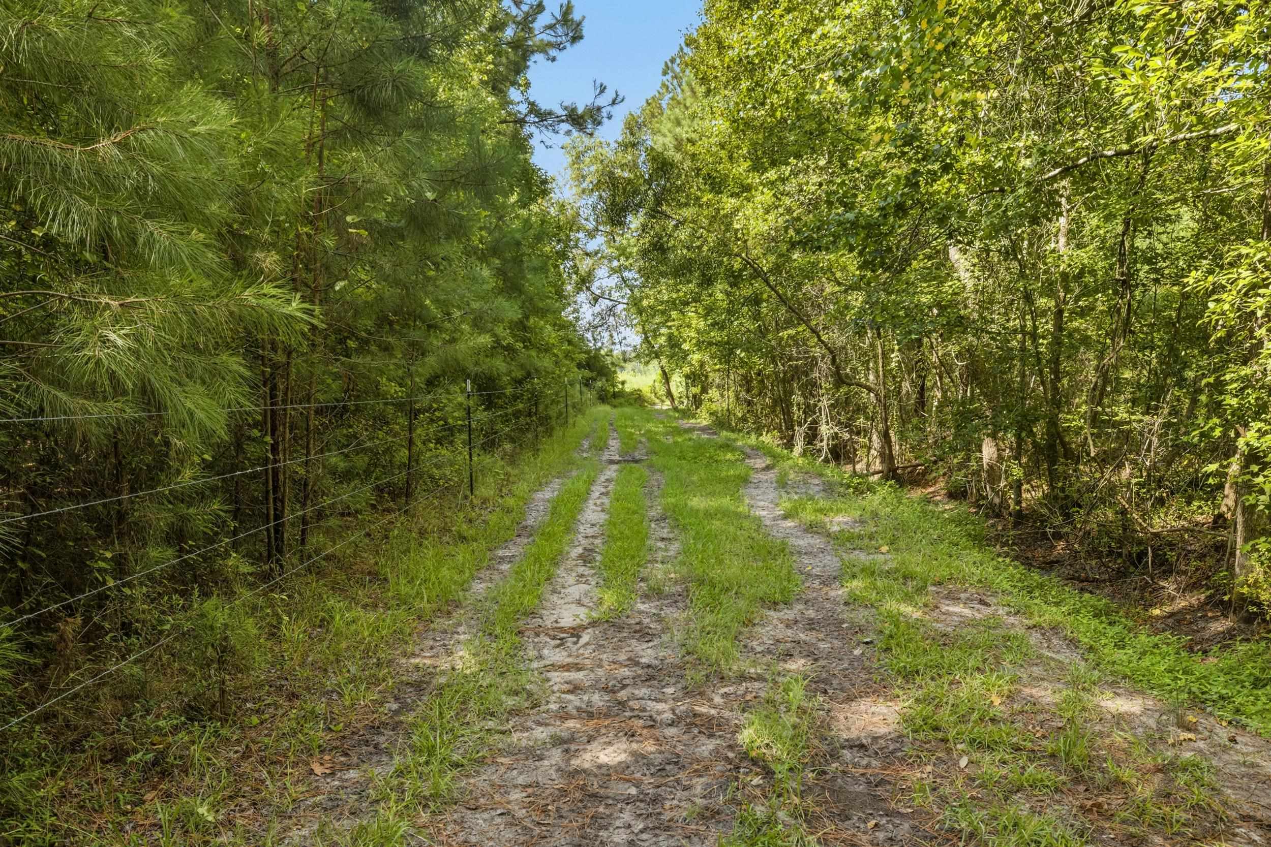 6400 Black Creek Rd. Property Photo 34