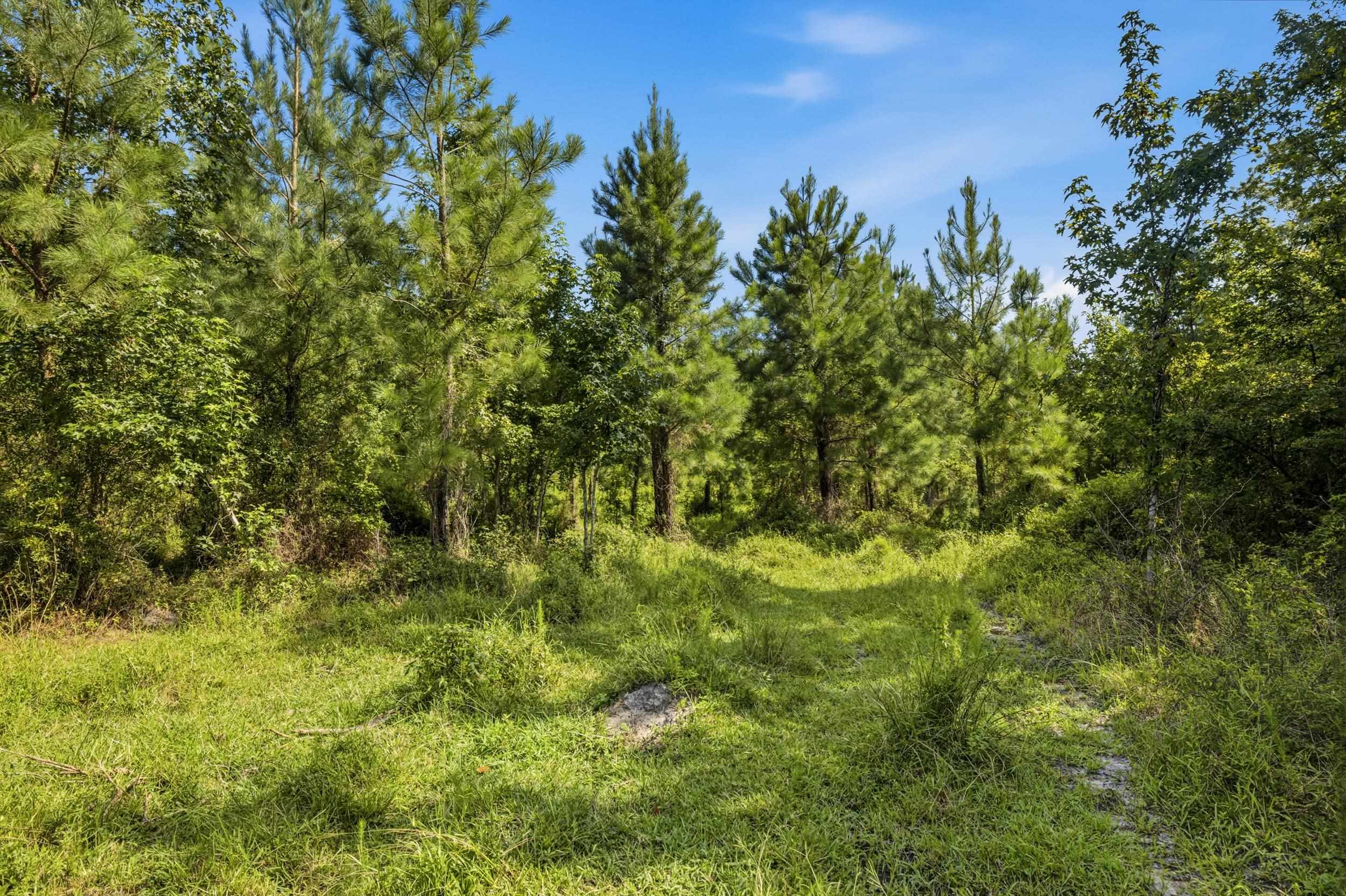 6400 Black Creek Rd. Property Photo 35
