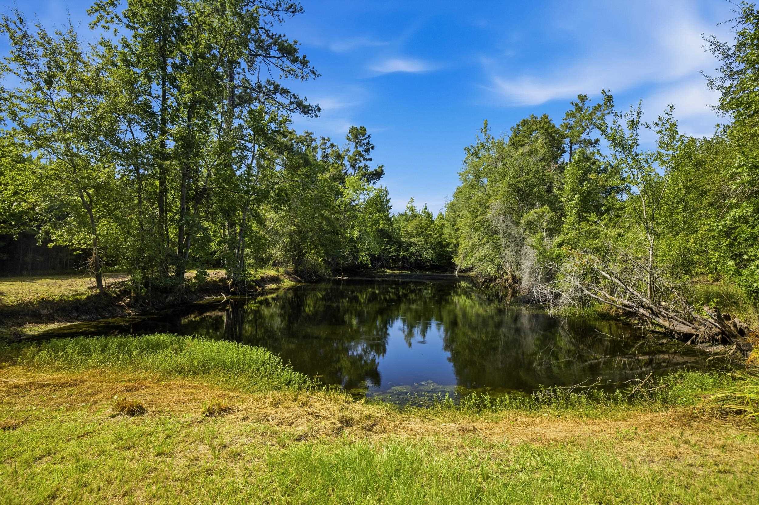 6400 Black Creek Rd. Property Photo 38