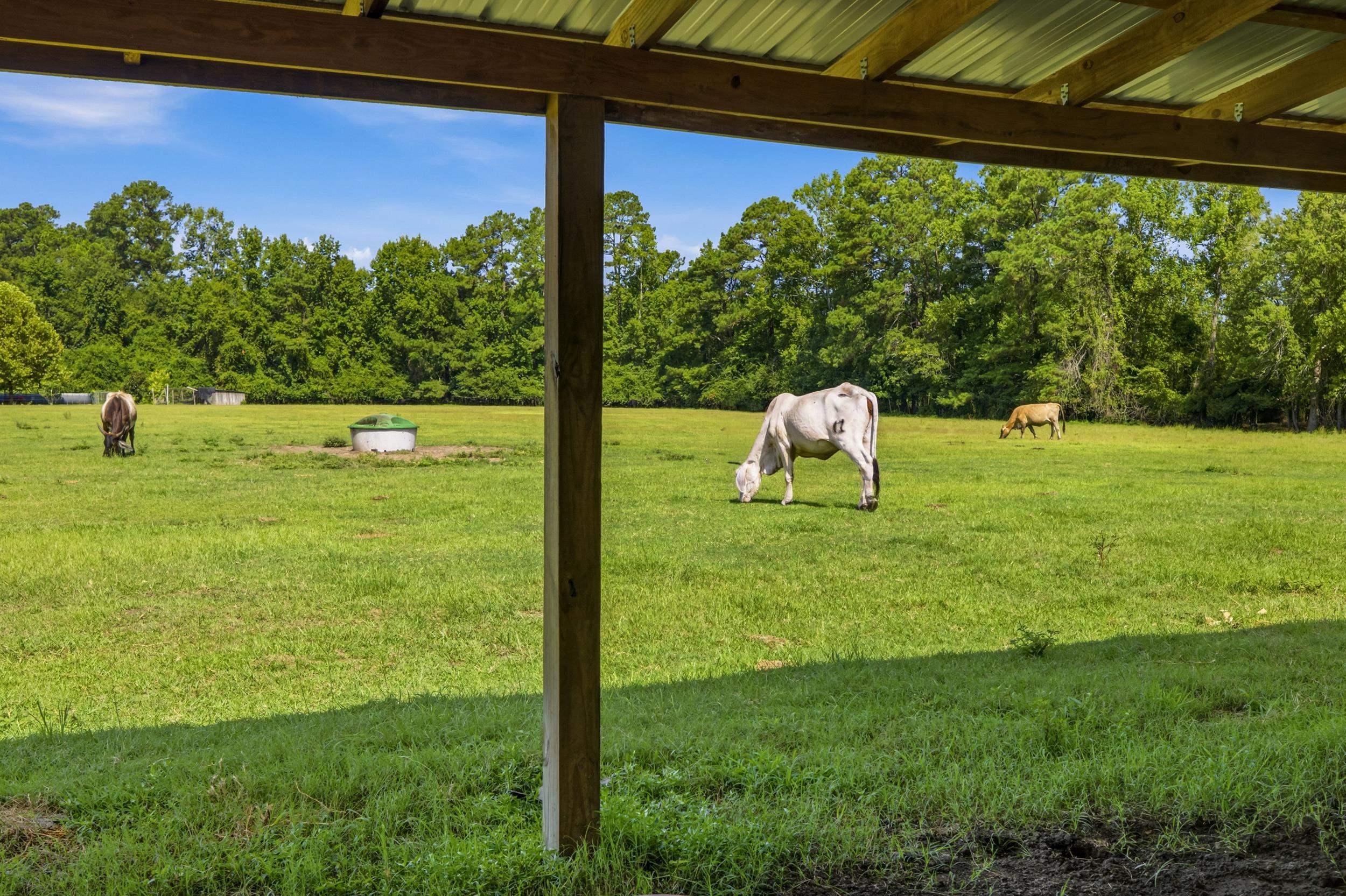 6400 Black Creek Rd. Property Photo 40