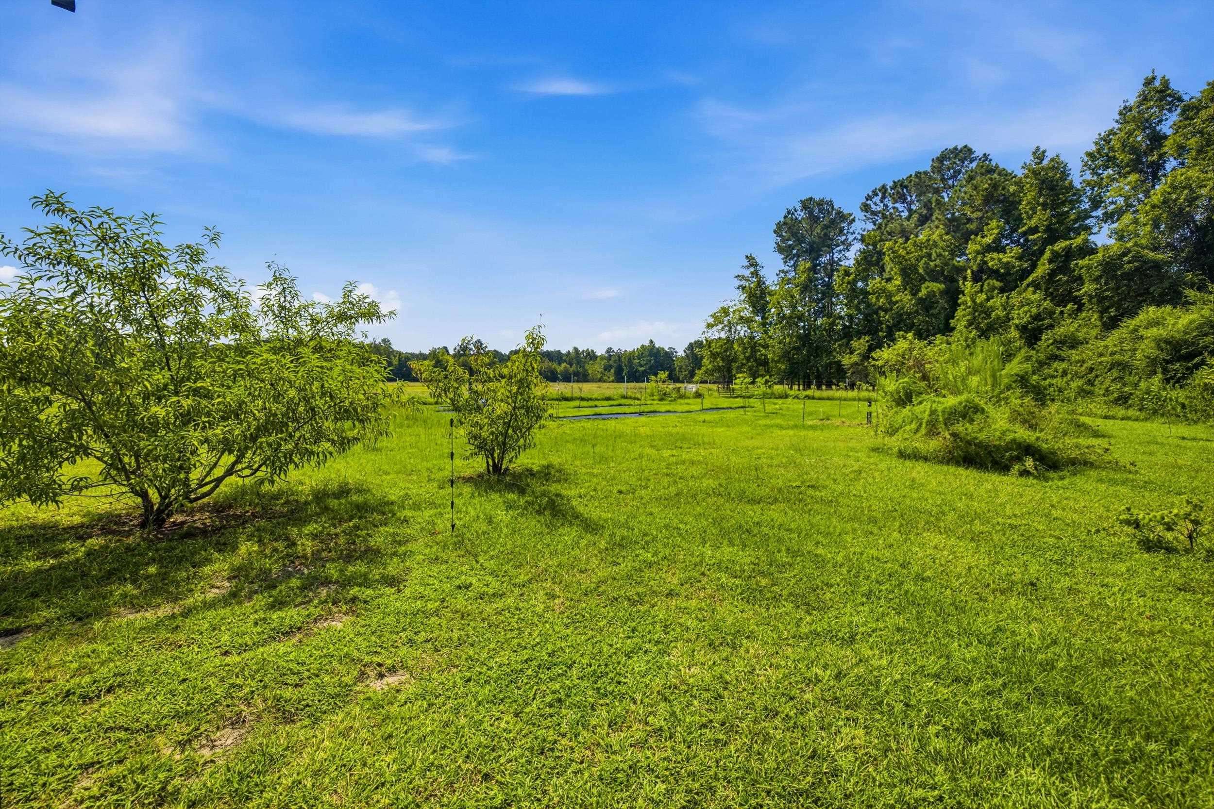 6400 Black Creek Rd. Property Photo 64